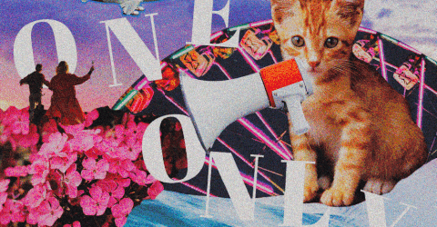 Jacqueline Sandra Zsa