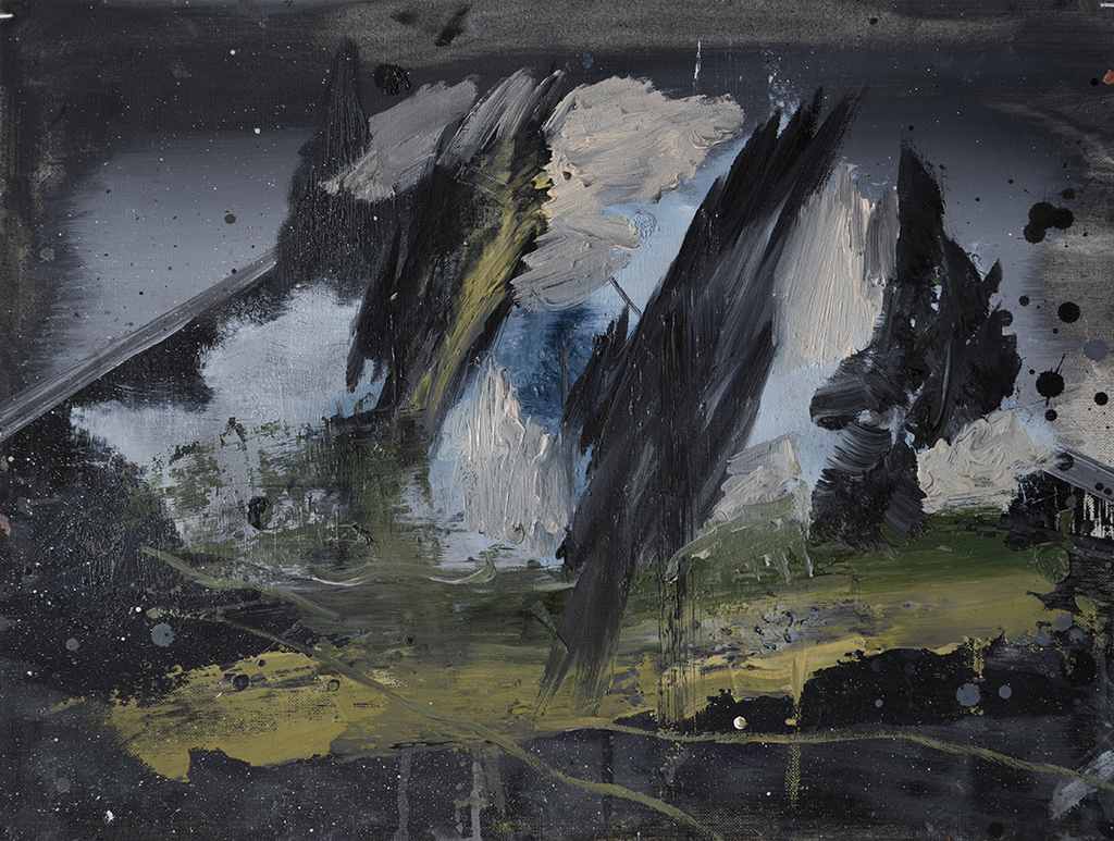 Small Garden. 30 x 40 cm. oil on paper. 2017 - 5/12