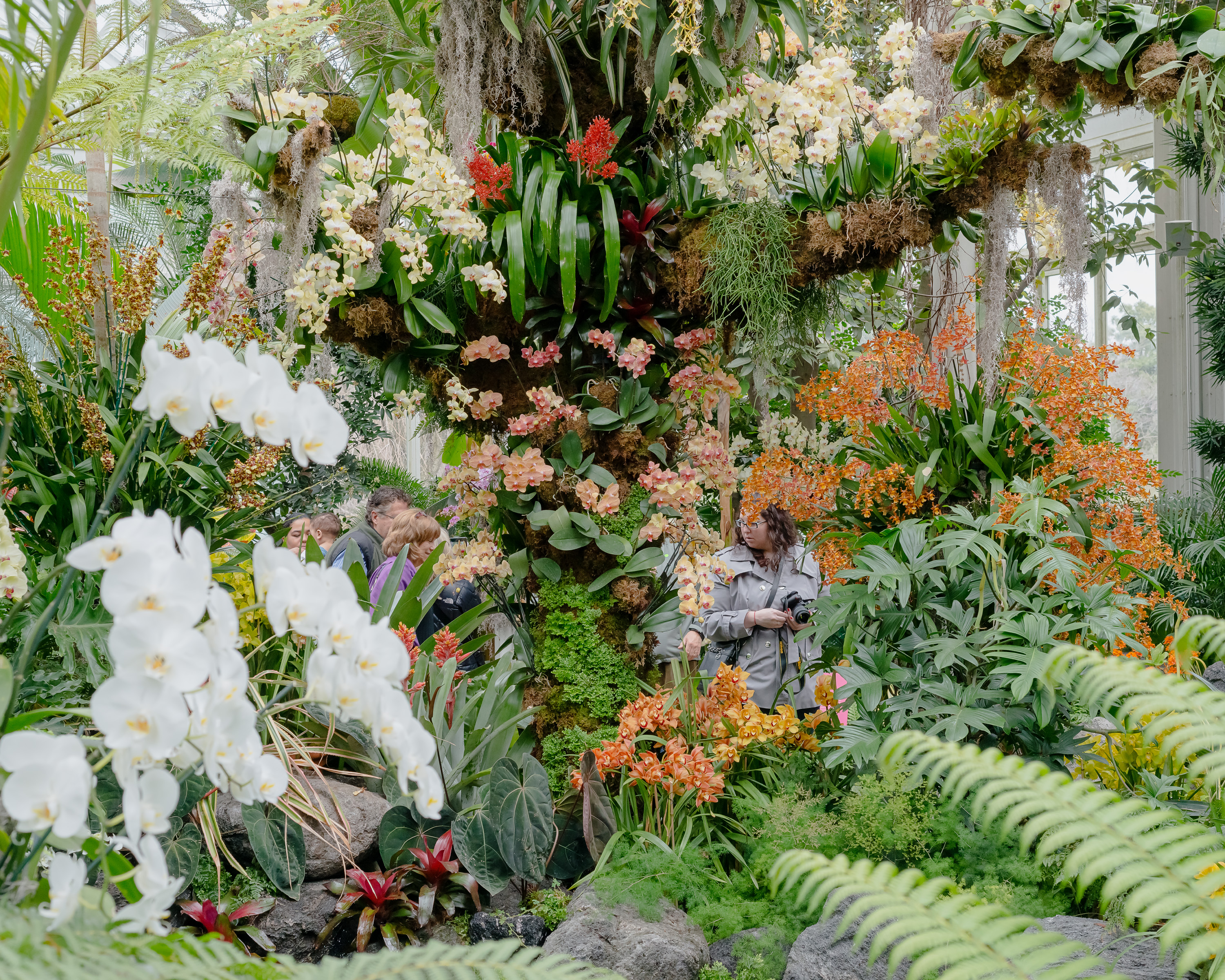 "Orchid Show" 40"x50" archival inkjet print