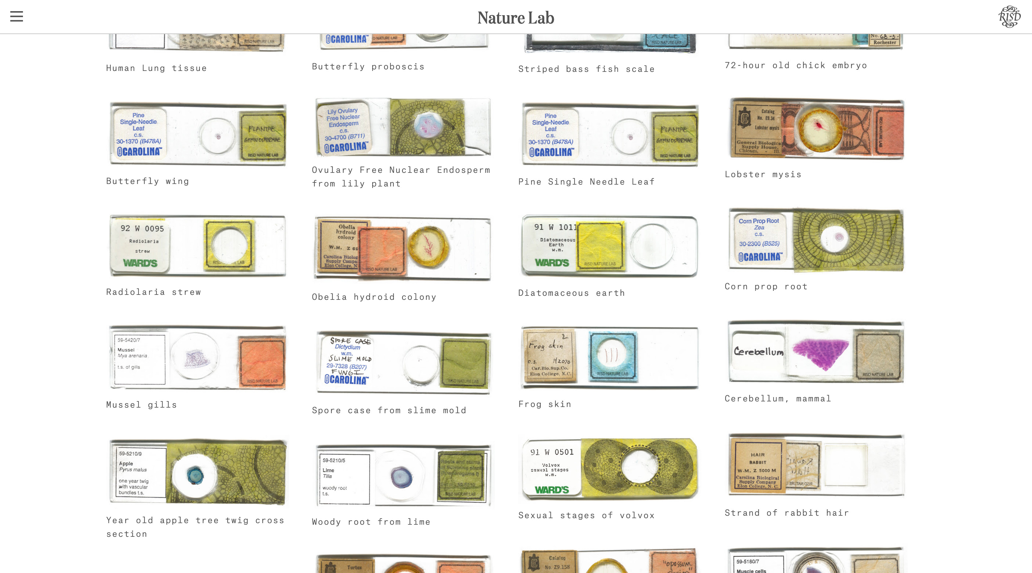 nature-lab-miscroscope-slides
