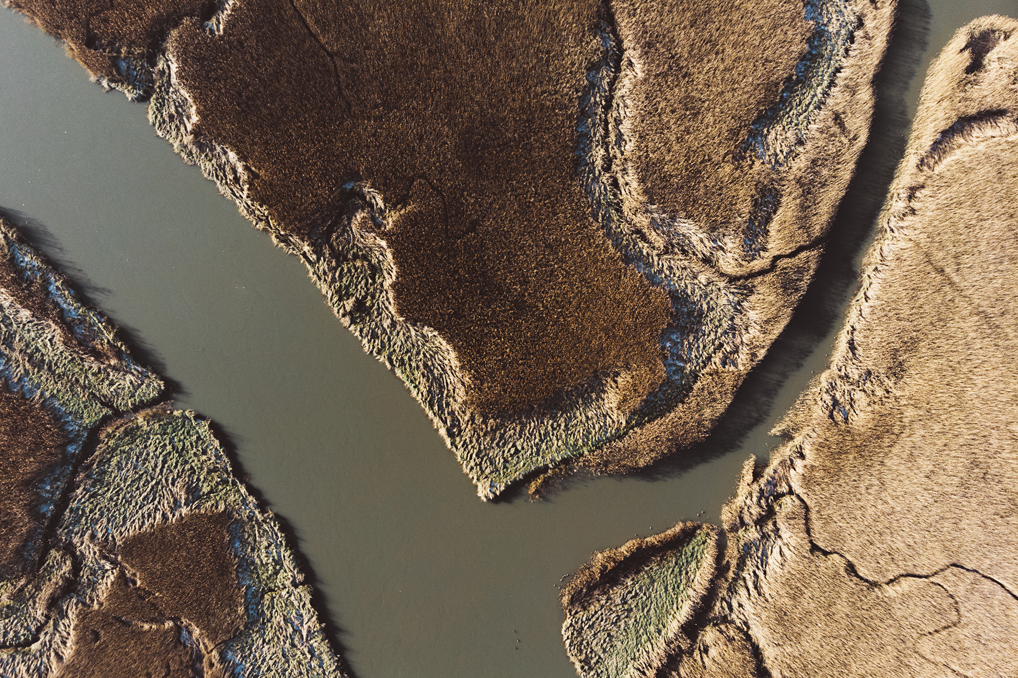 Het Verdronken Land van Saeftinghe