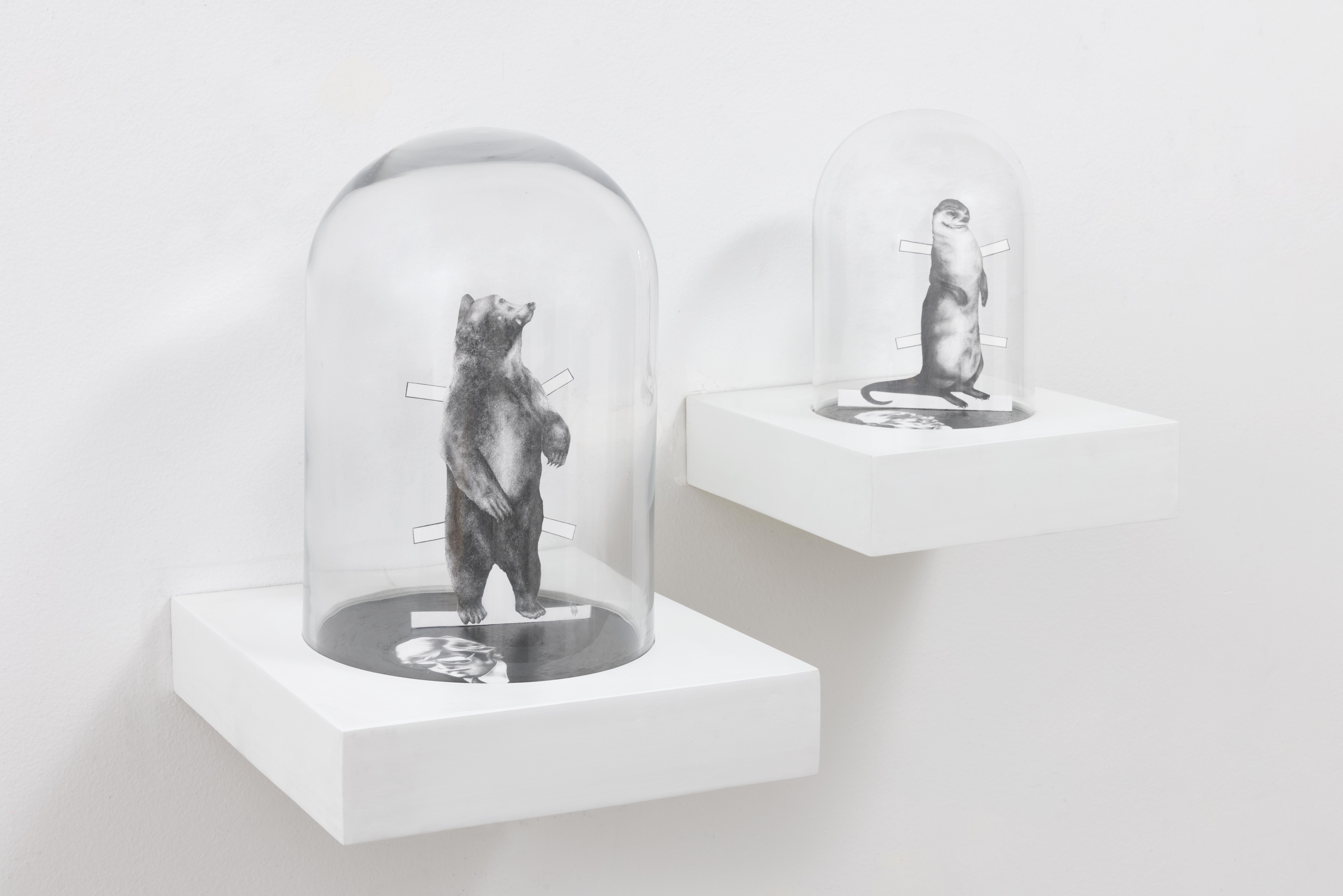 Some of My Equal (Cabinet) / The Liberal Men 1 & 2