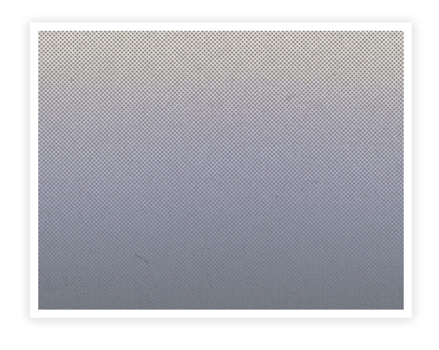 _CPW1060-4 & VII, 2020, Inkjet on paper, each 17” x 22”, Mounted on Birch panel
