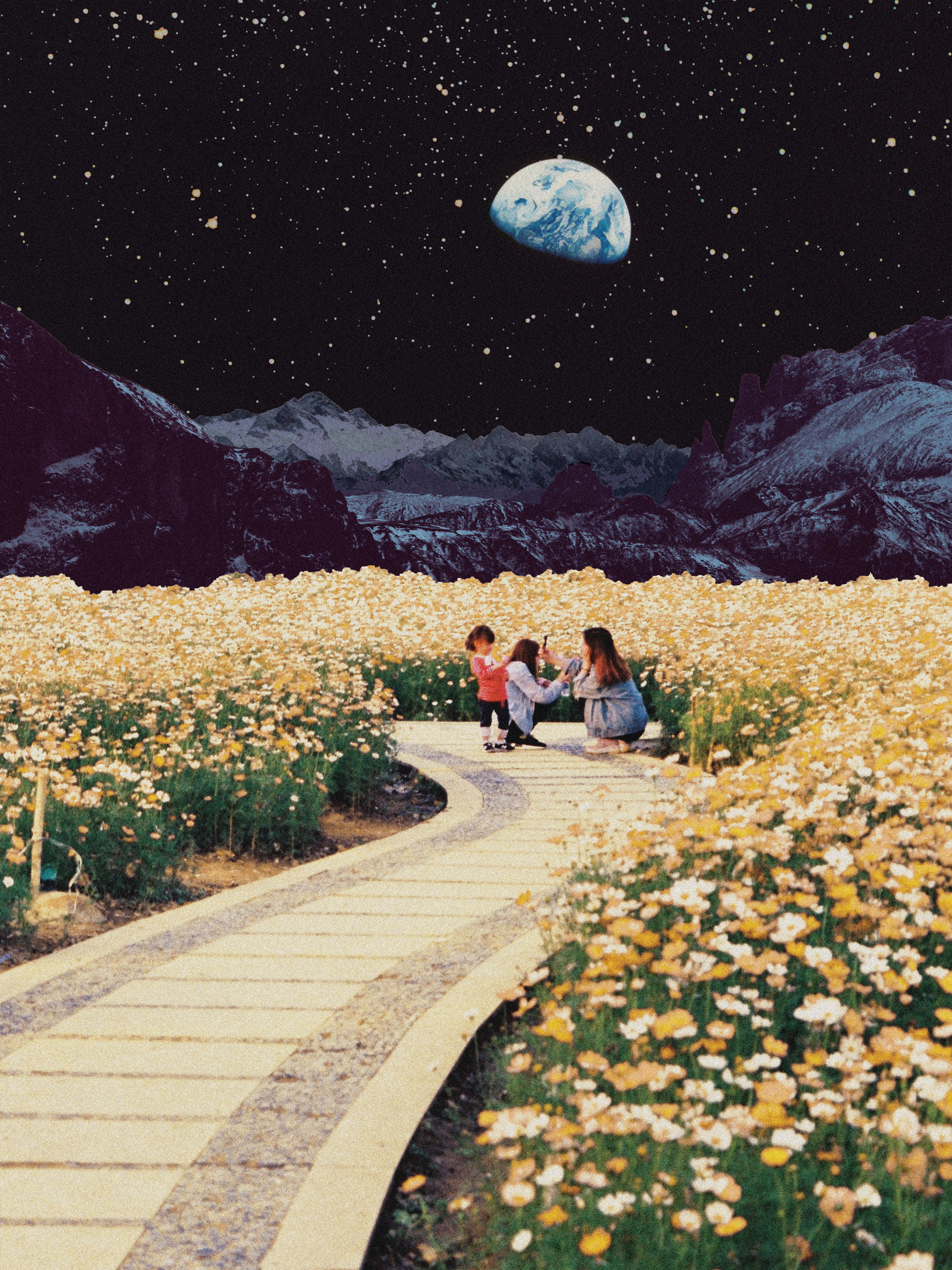 [No.47] "SUNFLOWERS OF SATURN"