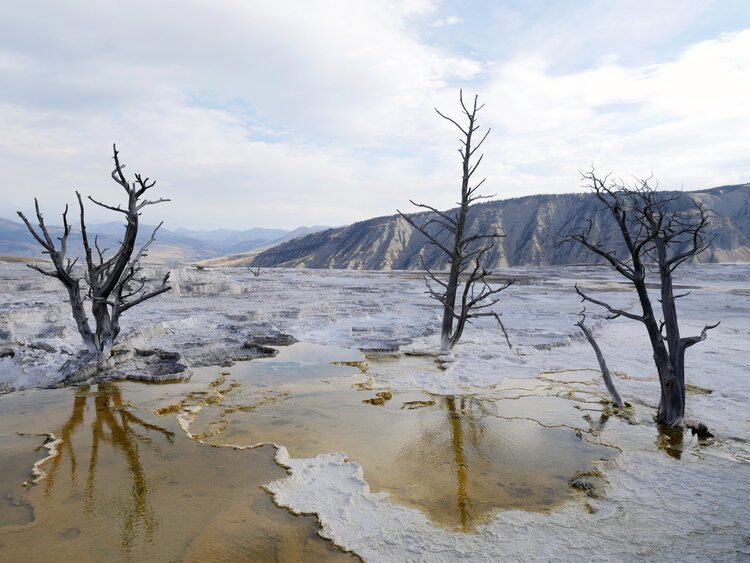 Yellow Stone National Park, USA, 2017