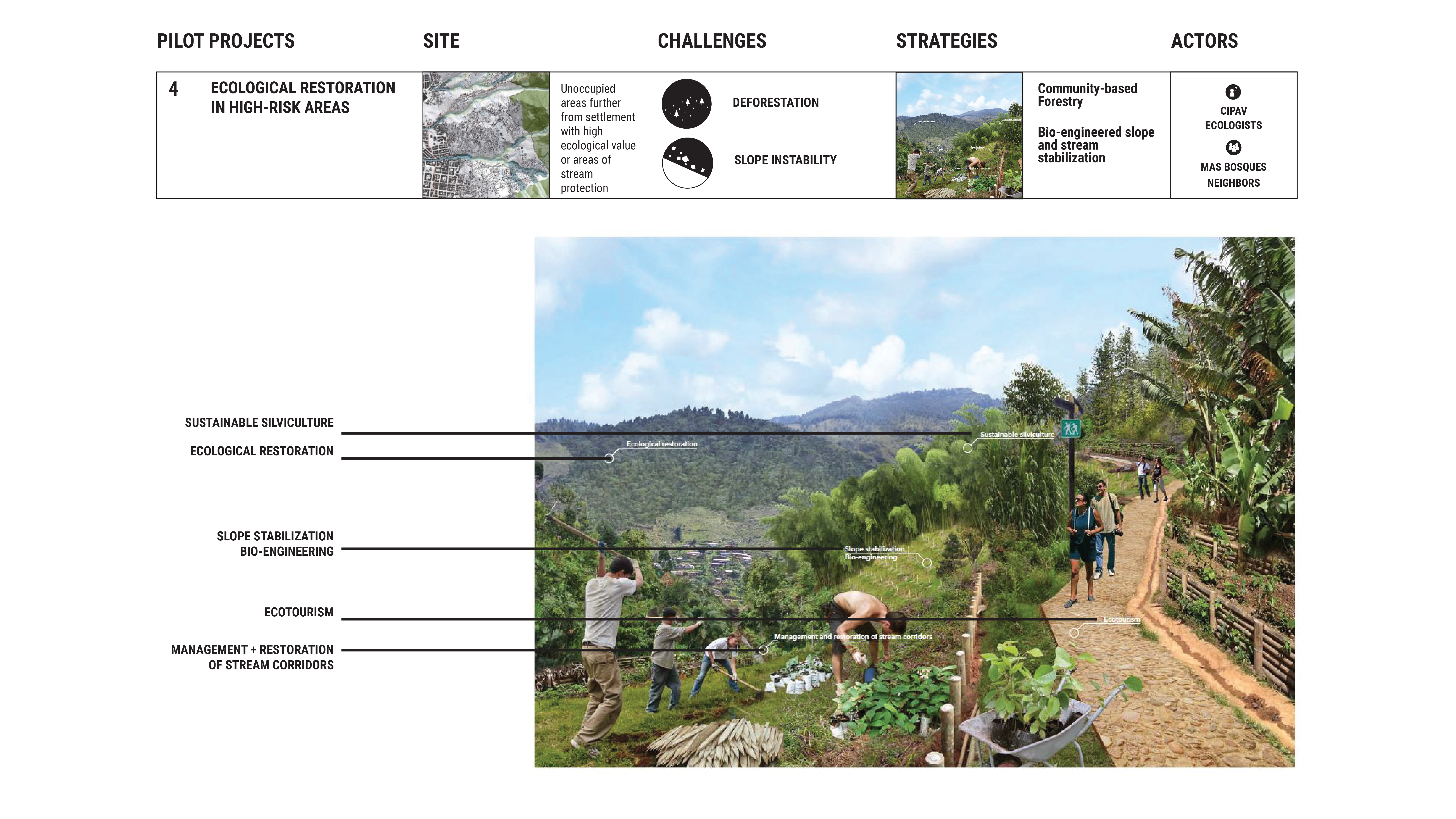 Figure 28. Pilot 4 – (Re)establishing protective forests: This project builds upon existing interest and energy toward reforesting those slopes that are presently and likely to remain undeveloped. The proposal calls for landscape architects and ecologists to help select appropriate species and create a management plan using bioengineering techniques to support their early establishment. These newly vegetated areas can also serve as recreation destinations. (Claghorn and Werthmann, 2015)