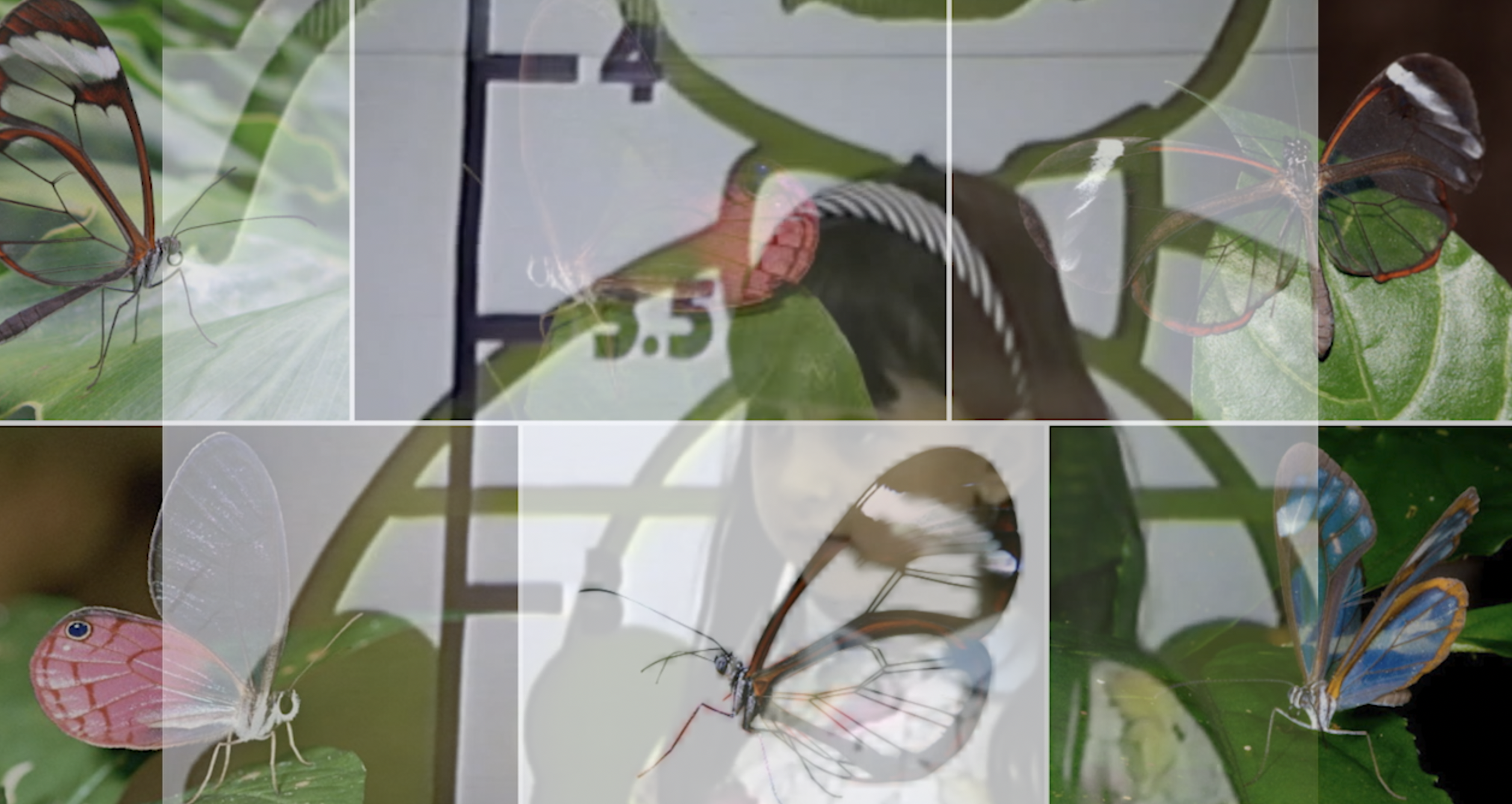 Ultimate Escape Artist