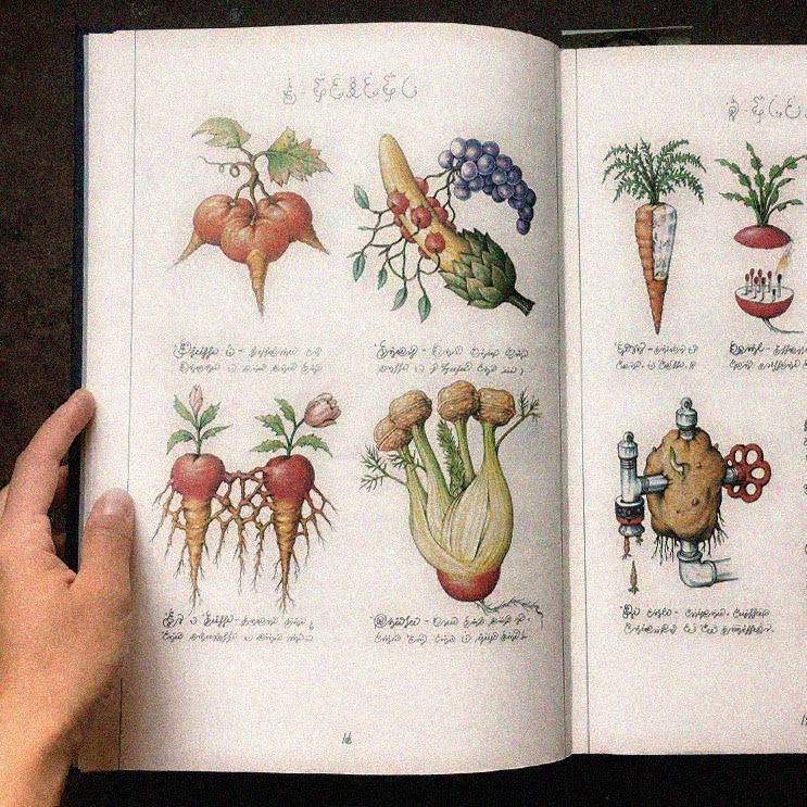 Codex Seraphinianus: A book we know nothing about., by Faisal Khan
