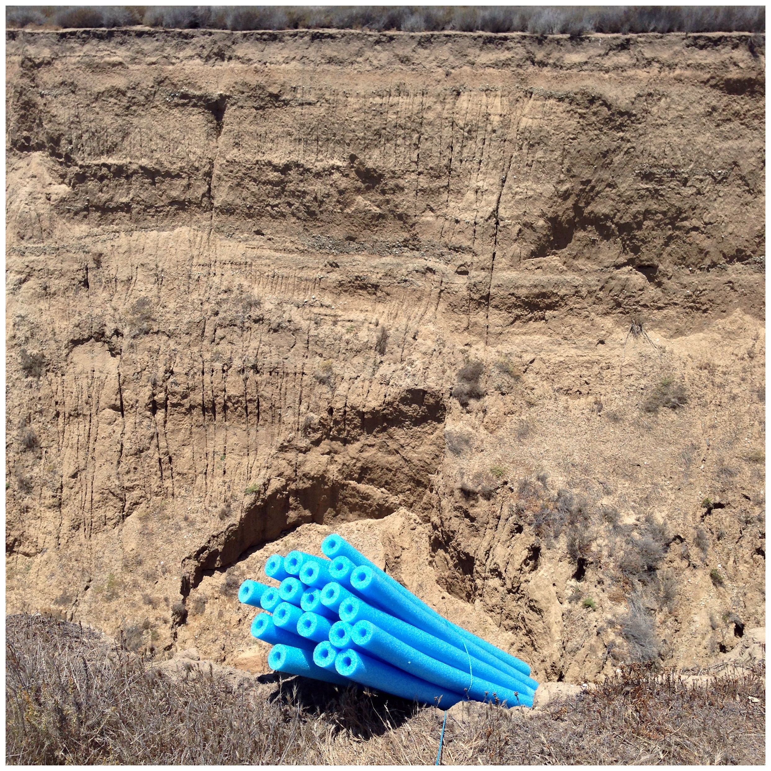 He's About Twenty, 2015Smartphone image34 x 34 in.86.36 x 86.36 cm