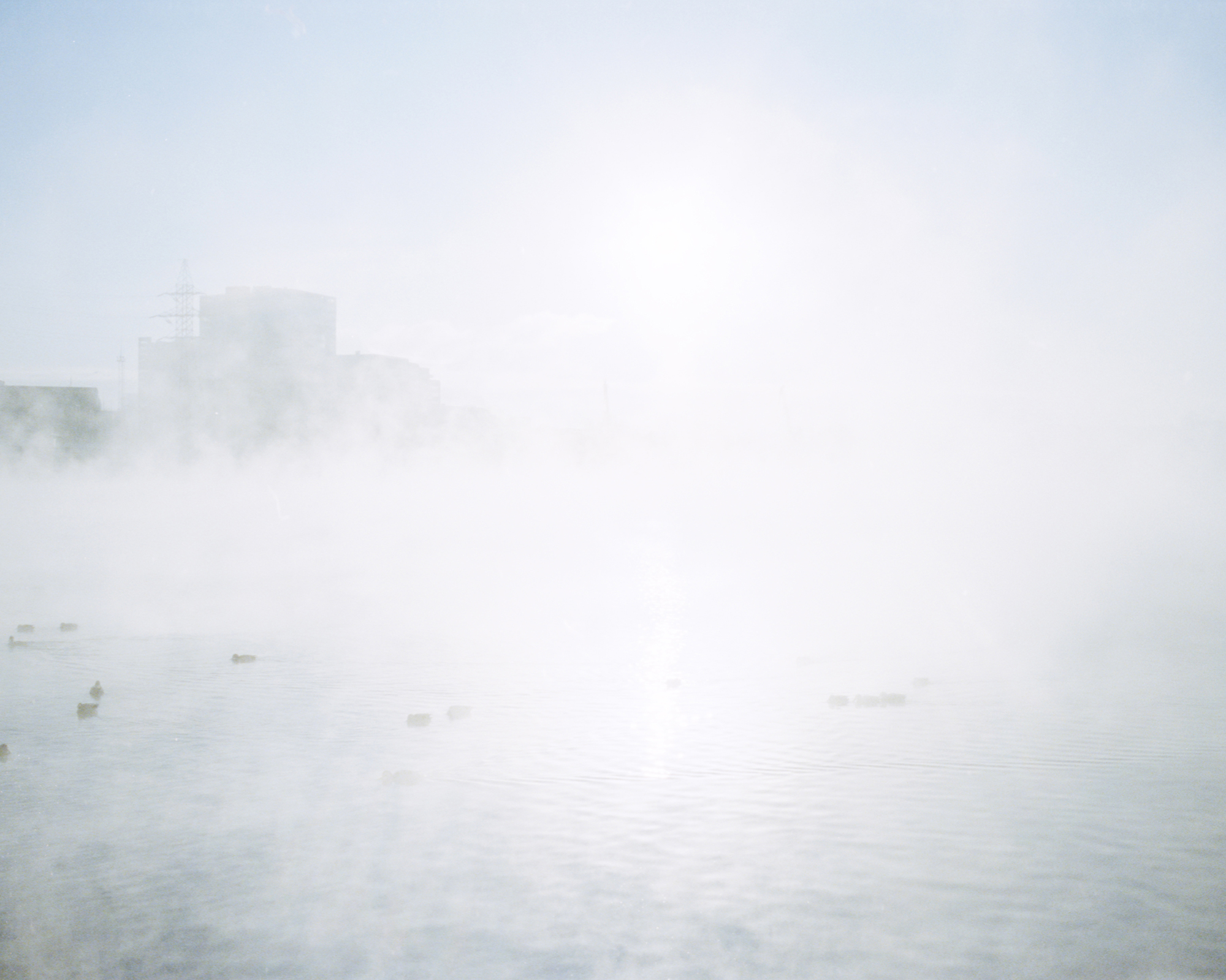 One on one hundred, 2012