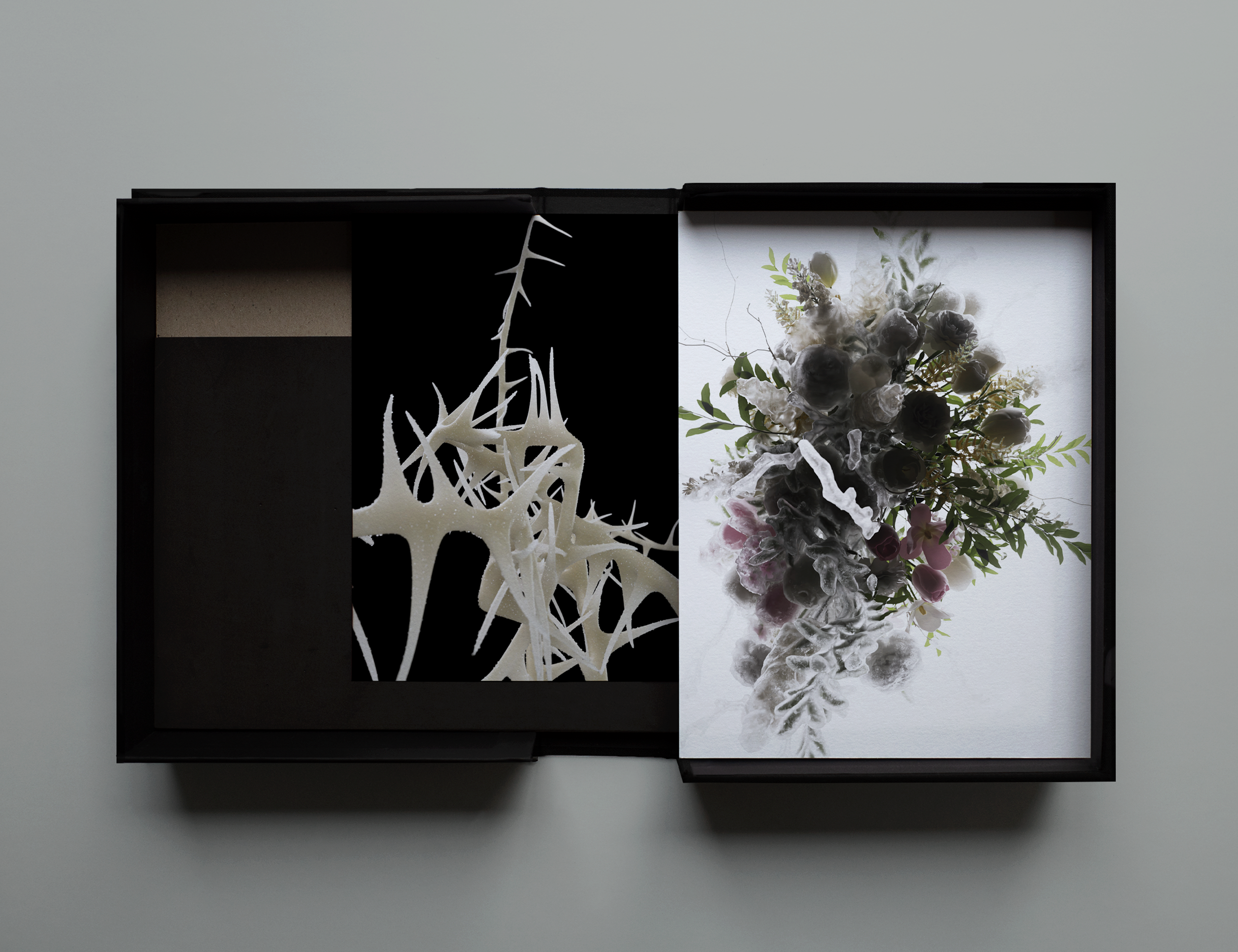 Zenfulnote: The Shadow Garden