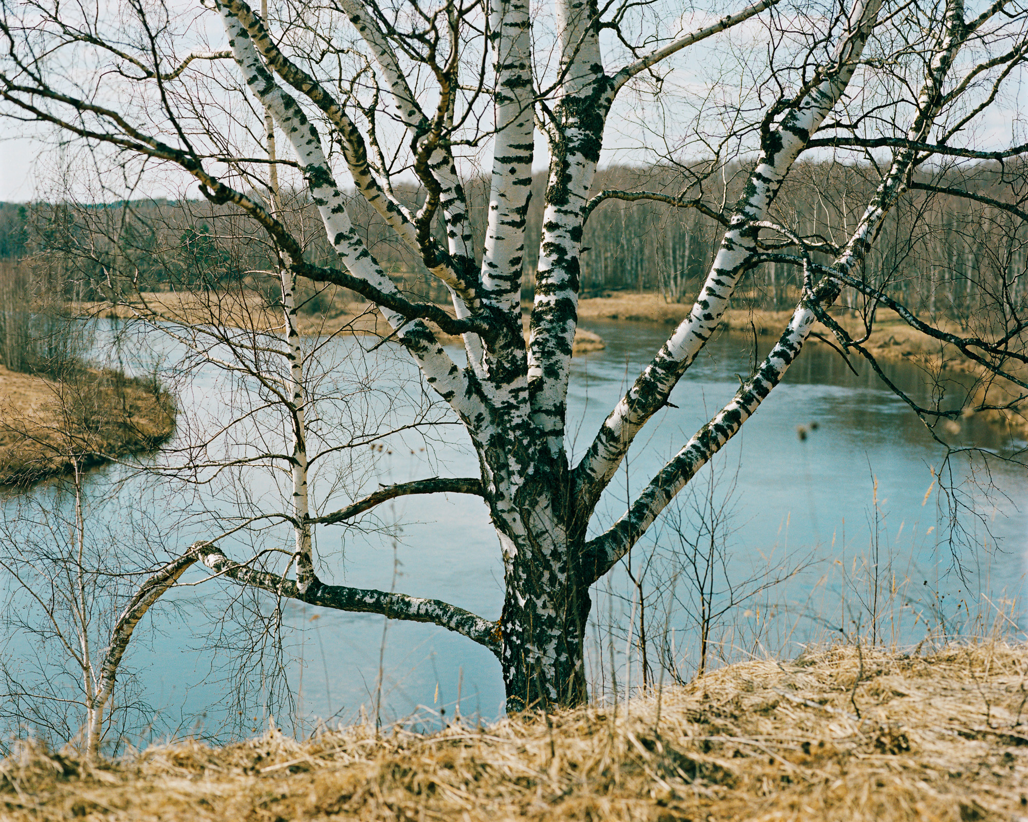 Povolzhye, Tverskaya Oblast, Russia, 2019