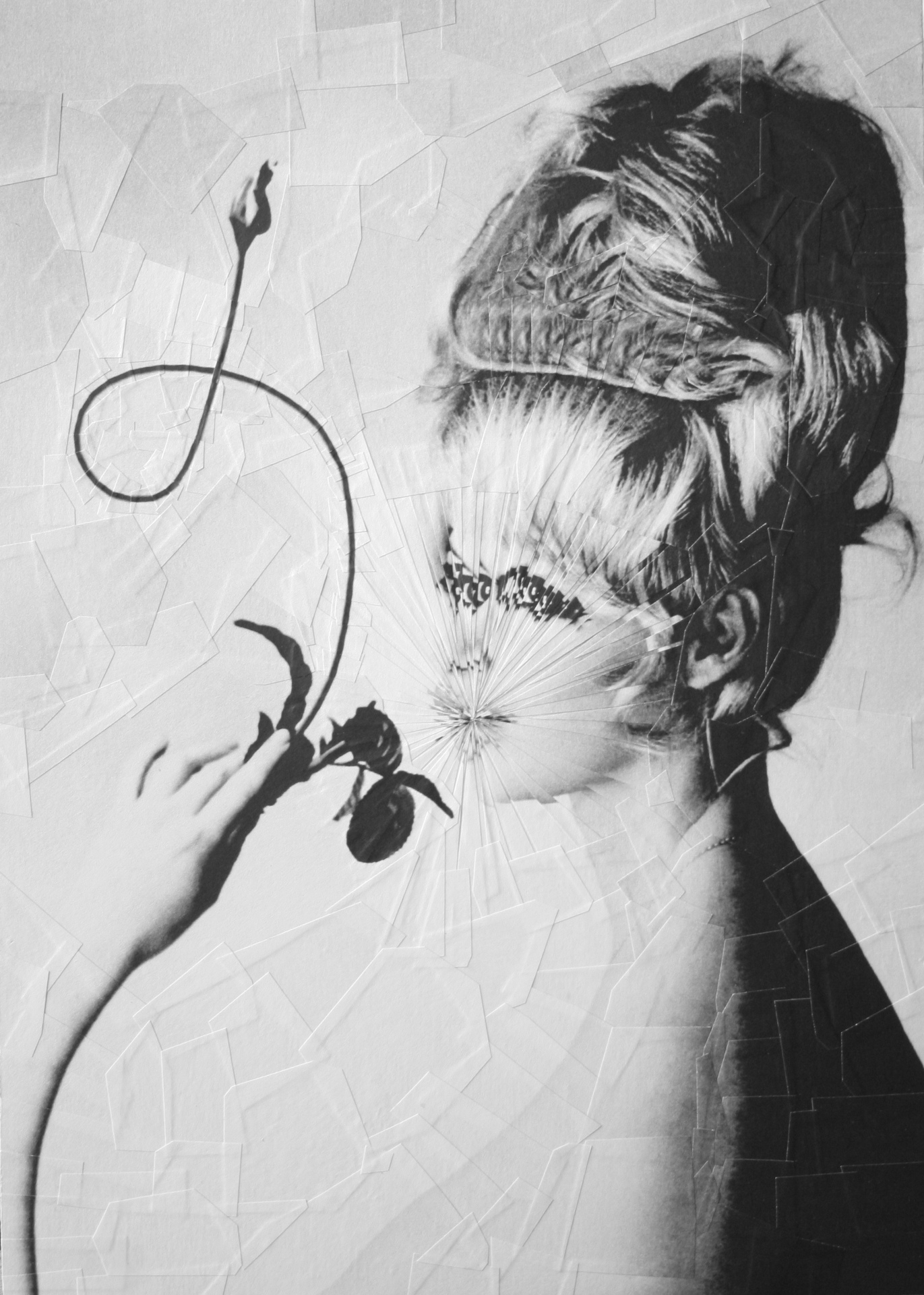 Semi Exploded BB, 2012, 8.2 x 11.6 inches