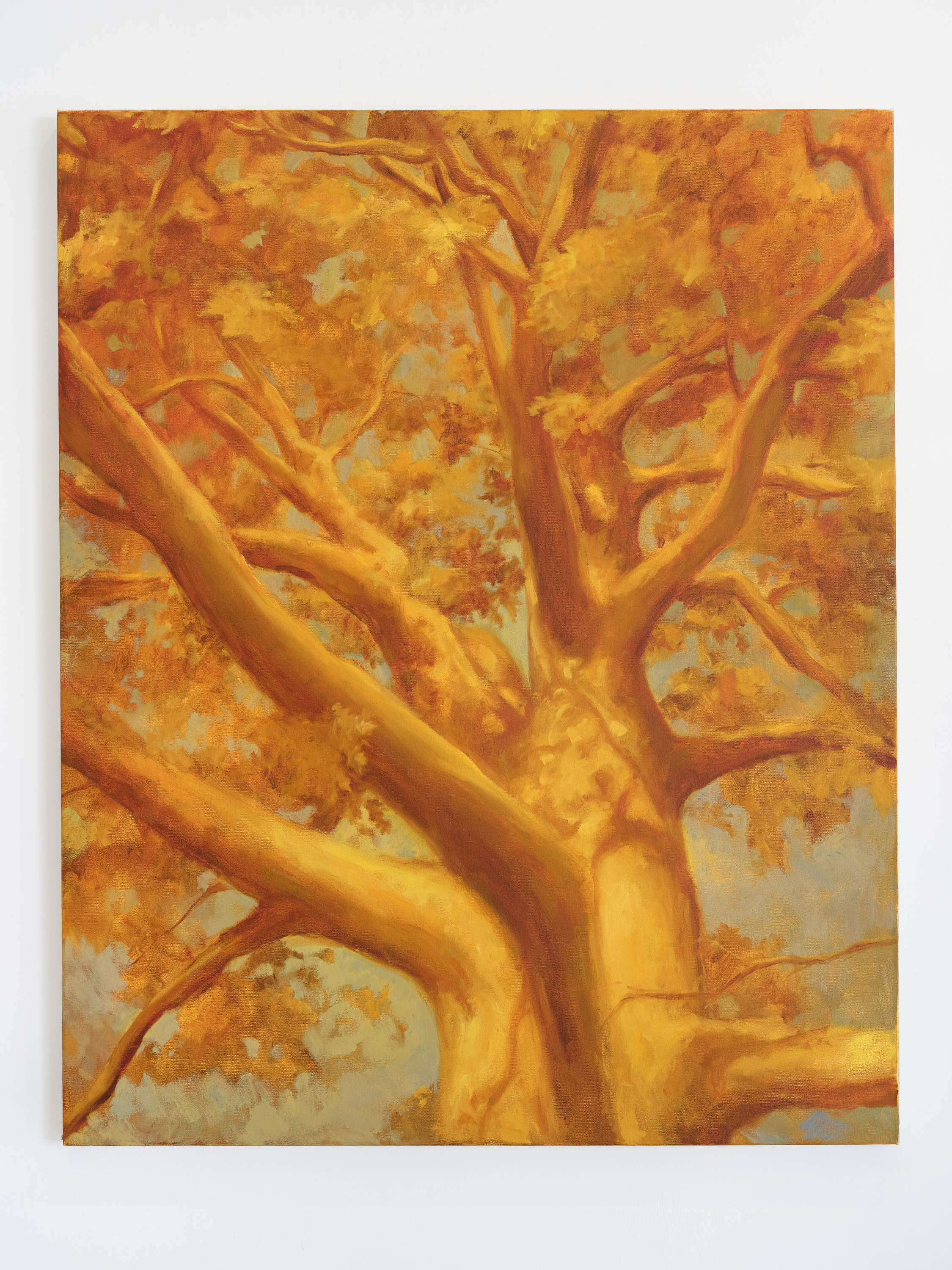 "Mama oak", 52 x 42 inches, oil on canvas, 2024. $3,600