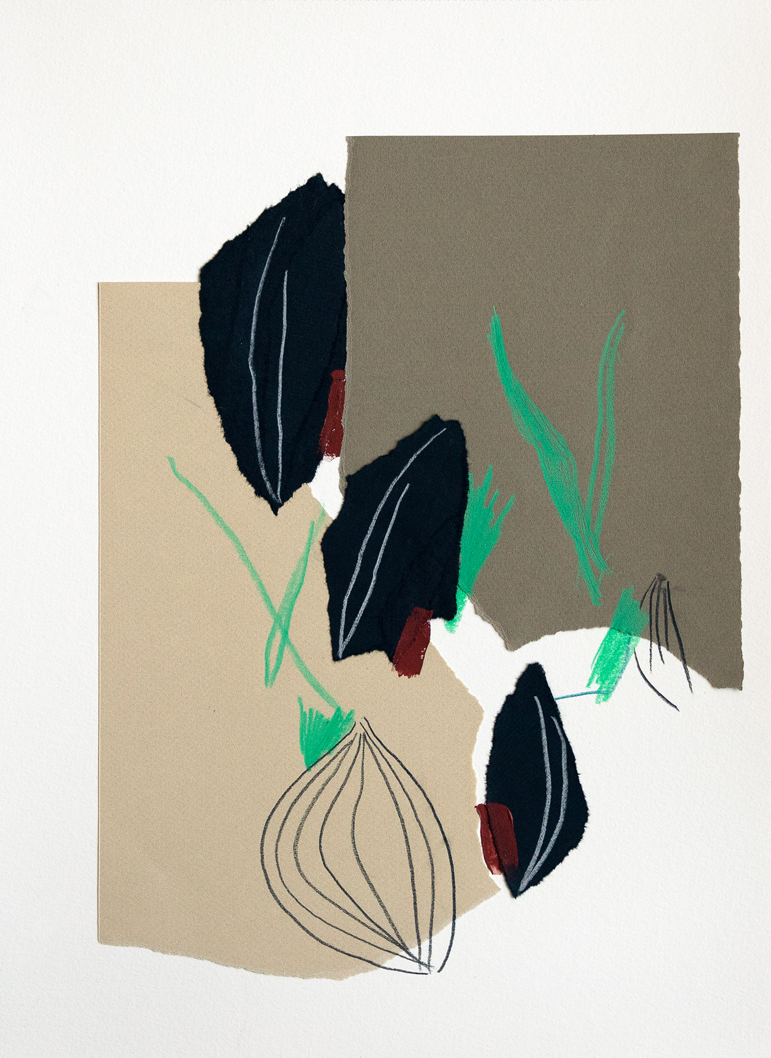 Plato_ 001