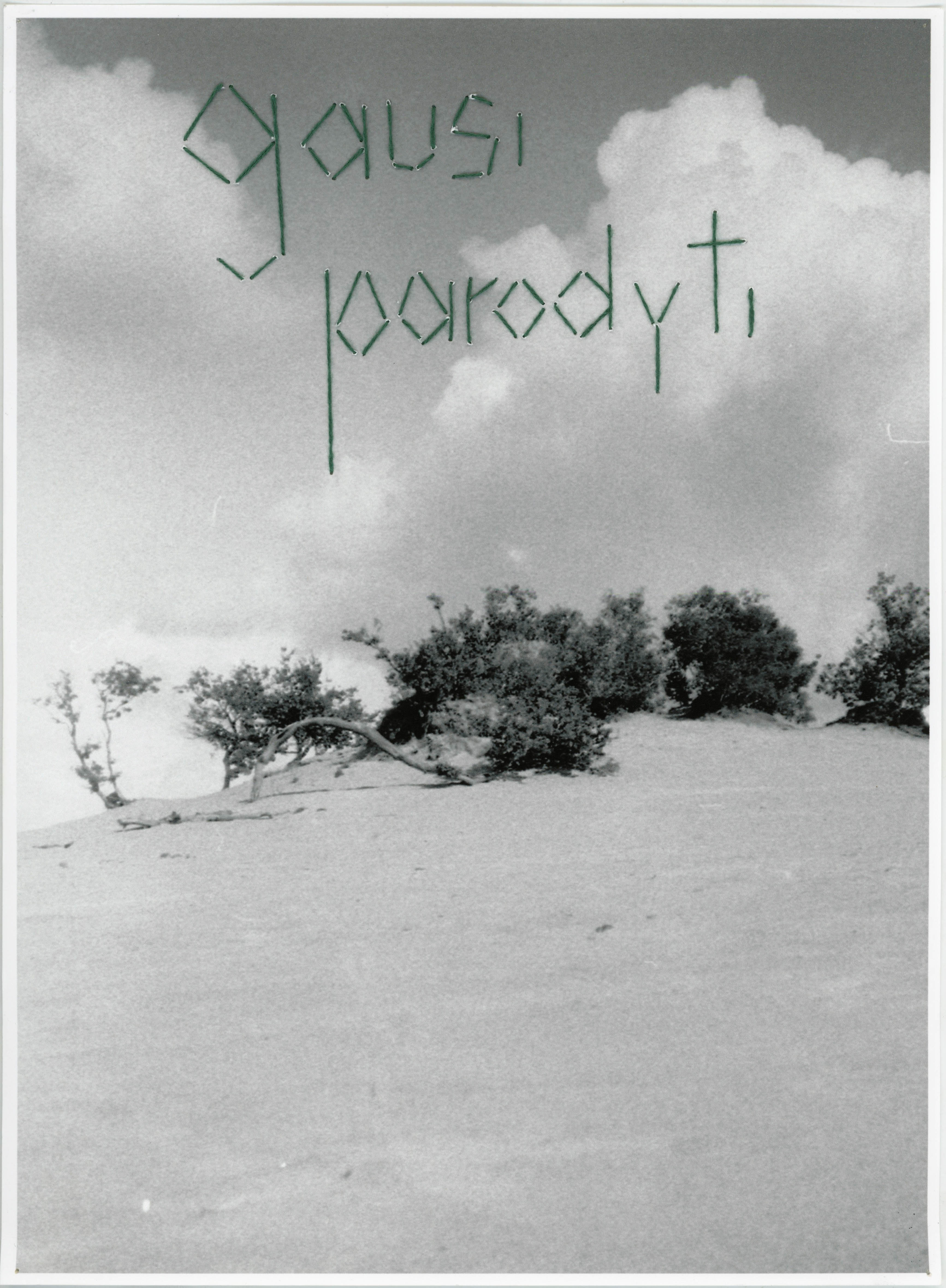 "You will have to show me", Dutch Landscape, 2022