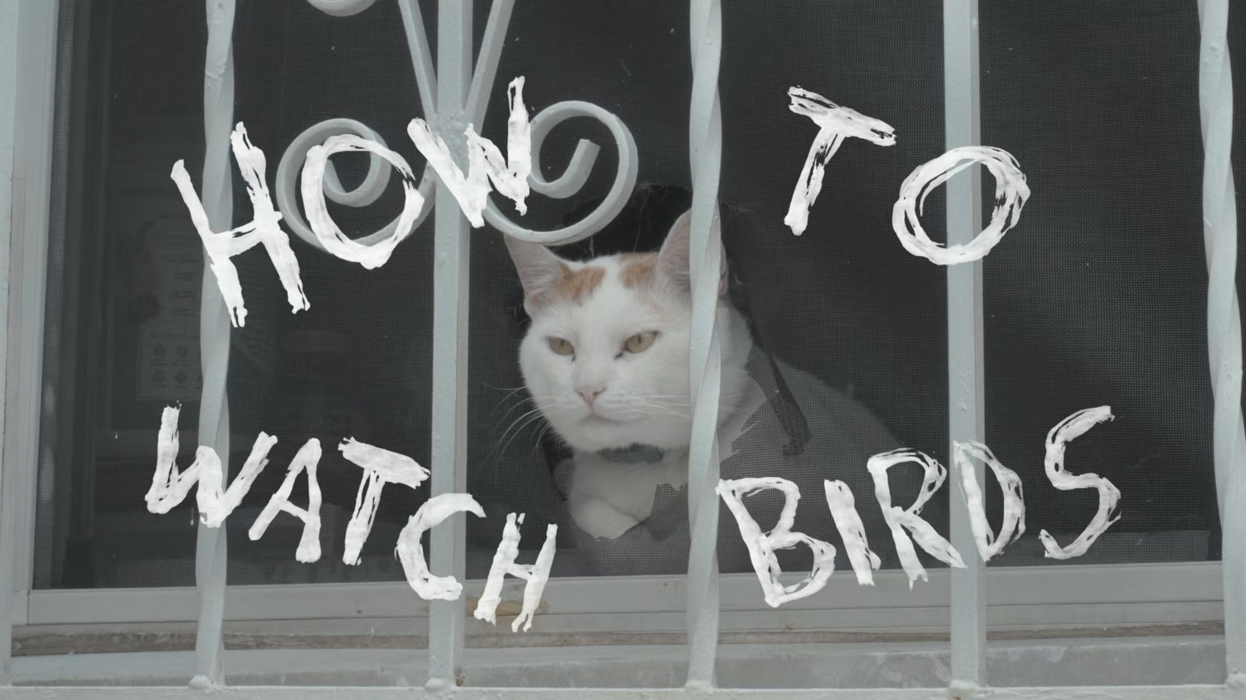 solving problems you didn't know you have