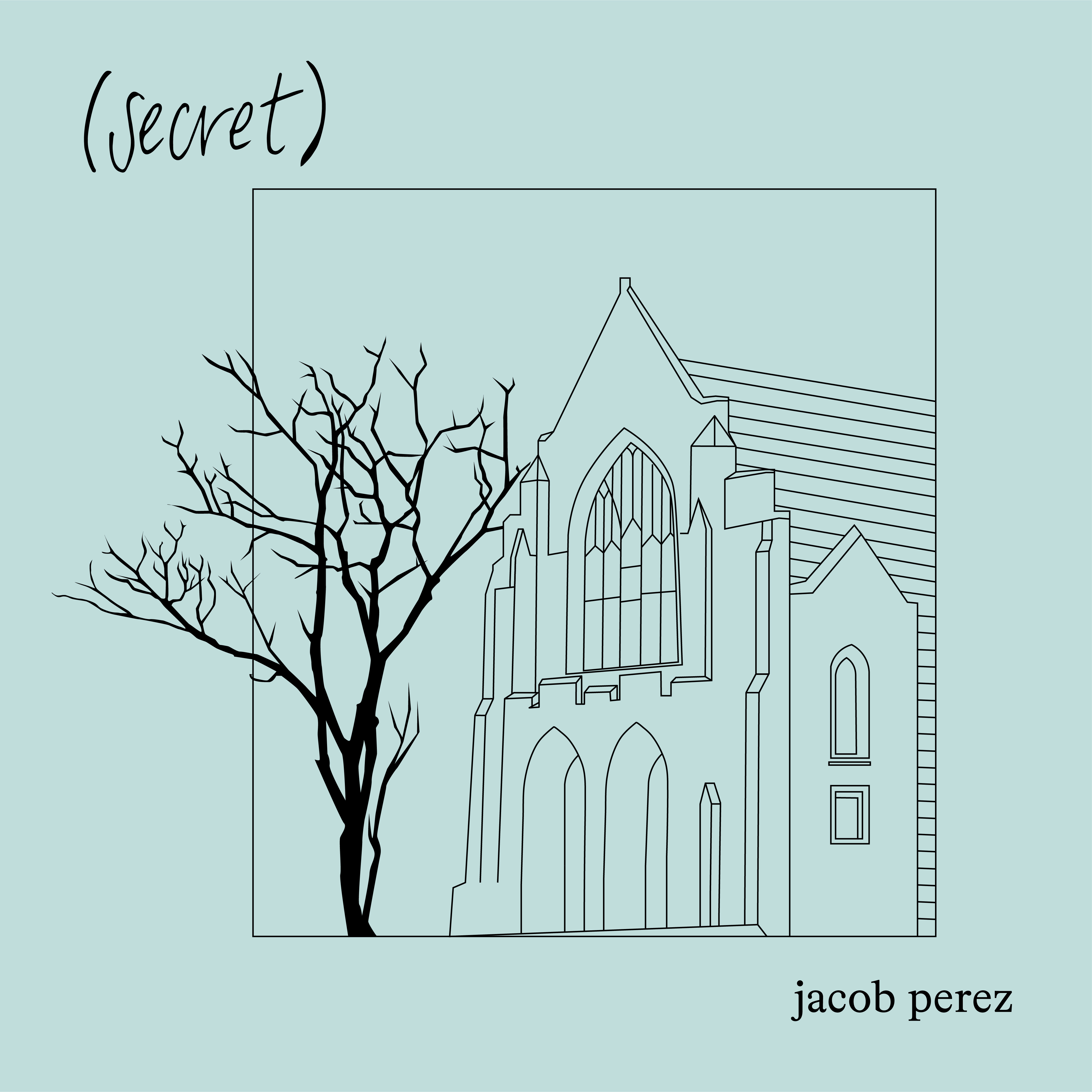 line illustrations on color (chosen direction)