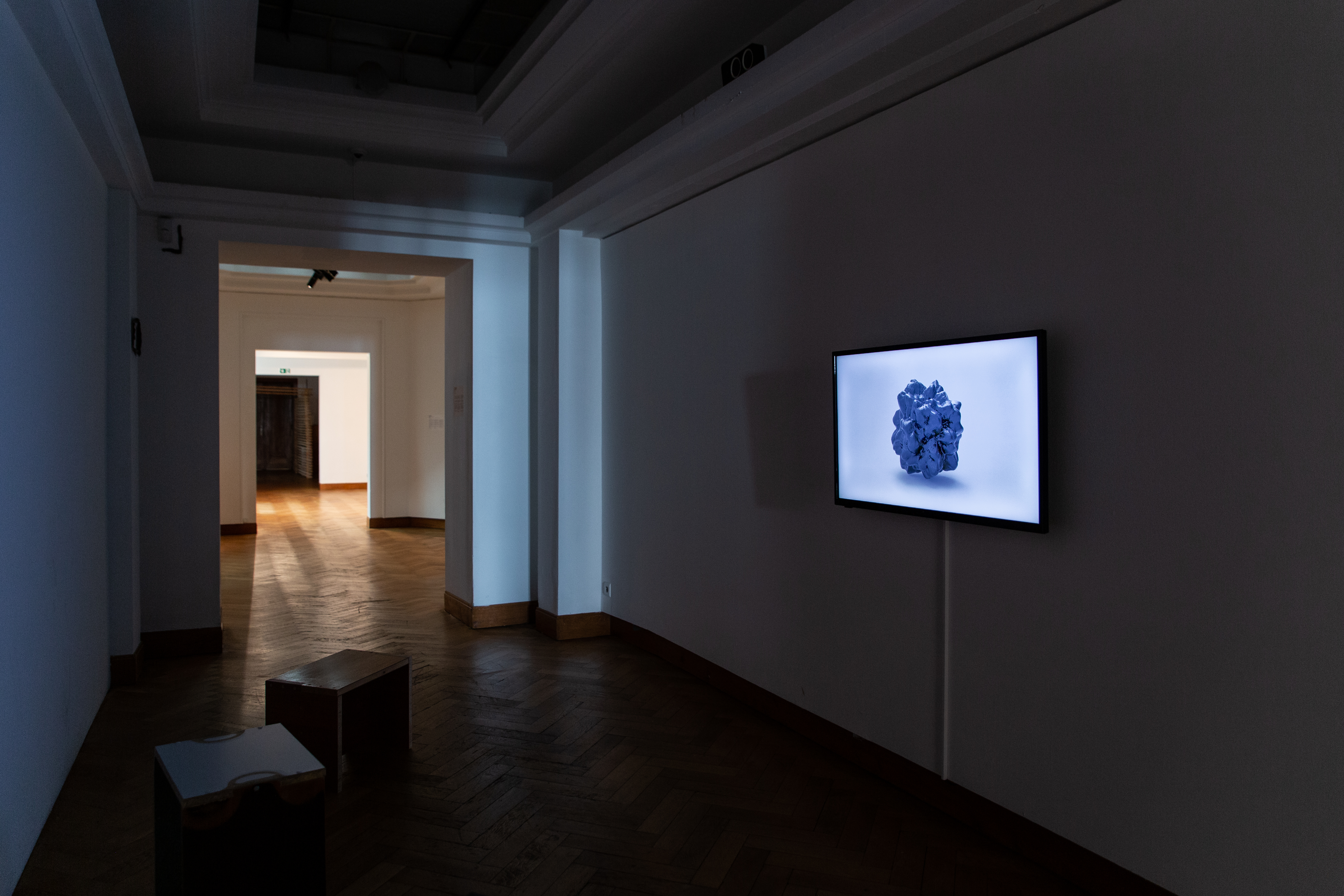 Vue d'exposition, Galerie des futurs, Bozar, Bruxelles (BE)