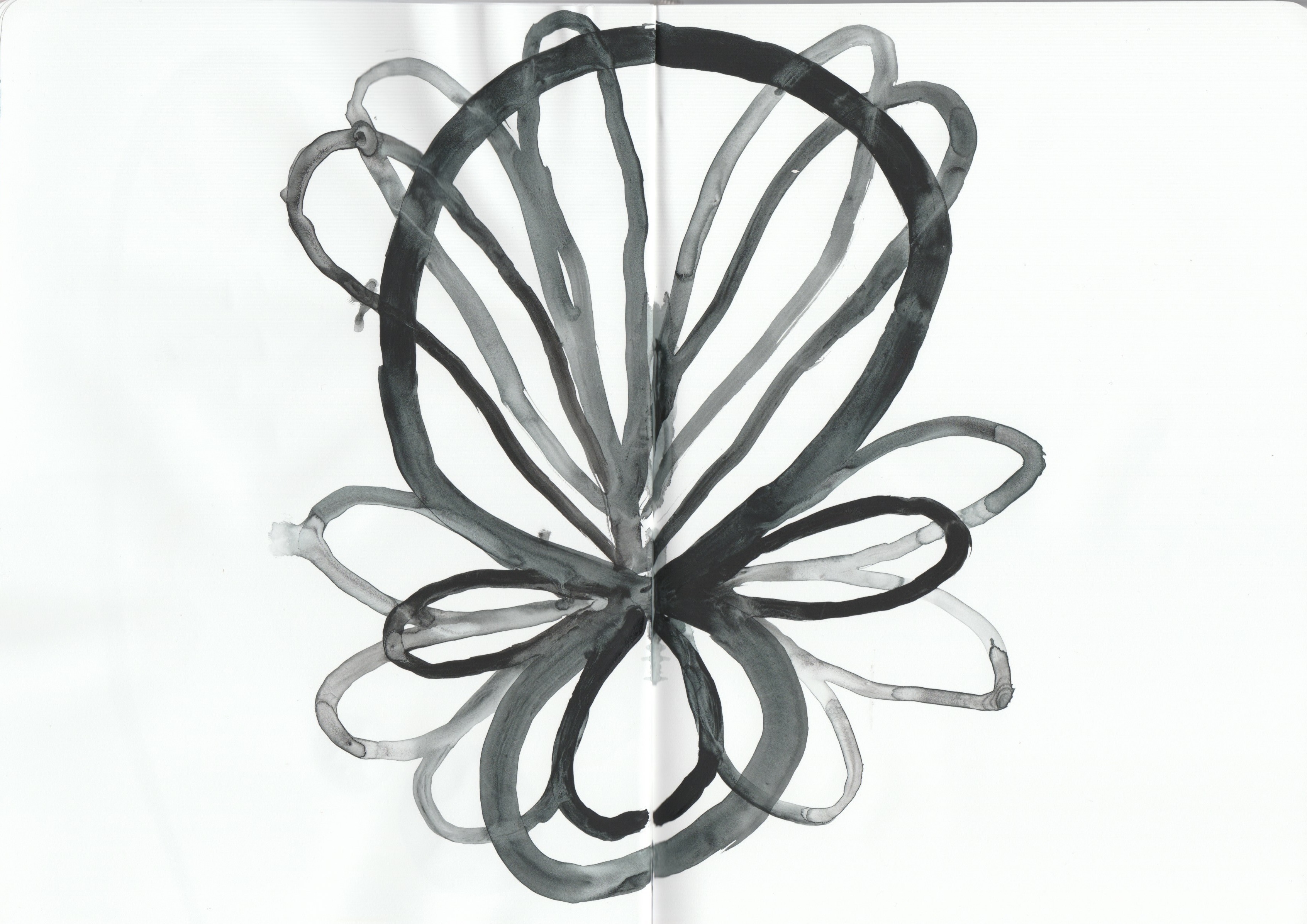 Disegno Anima