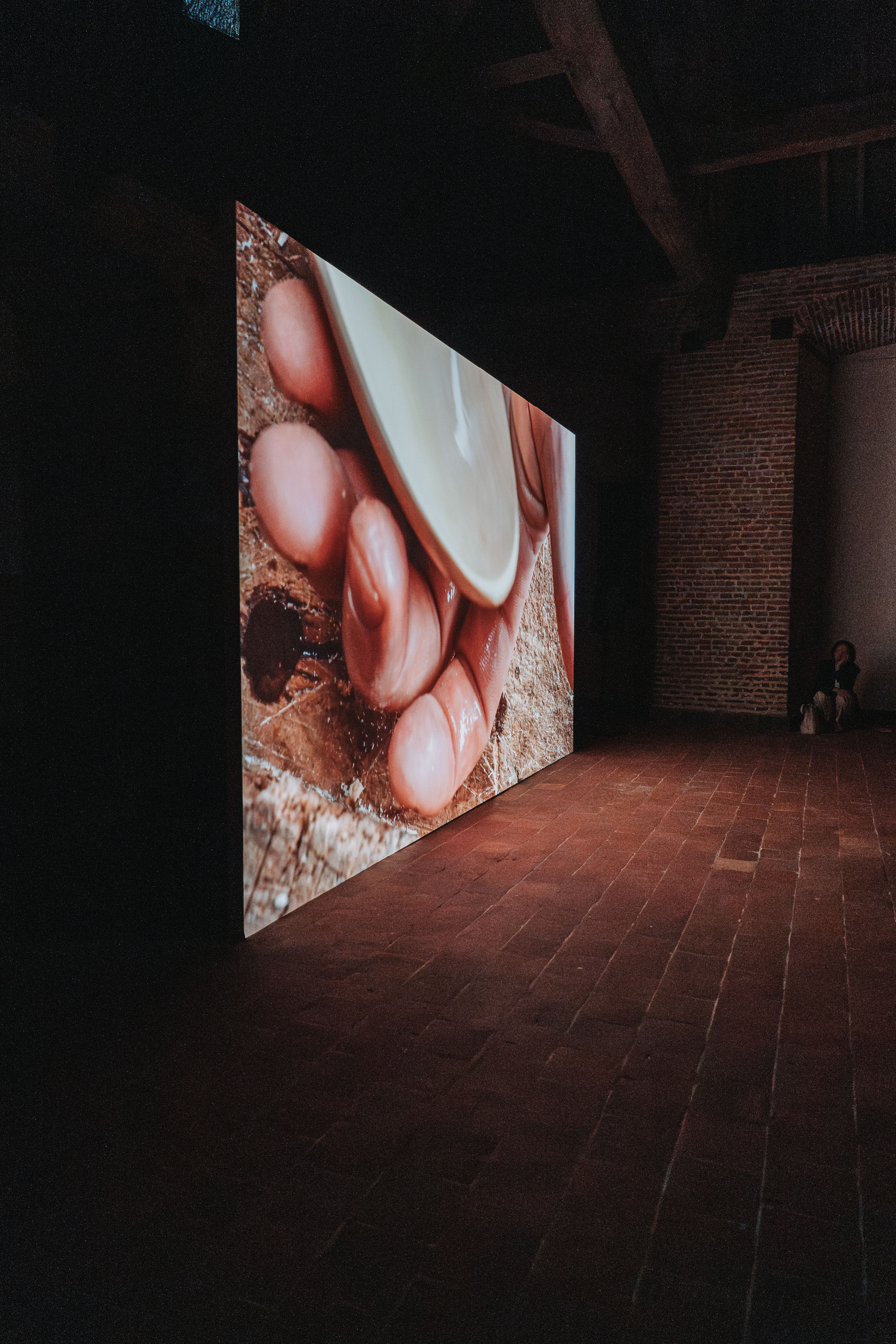 David Claerbout / At the window, Gaasbeek Castle 2025, photo Vincent Peetermans