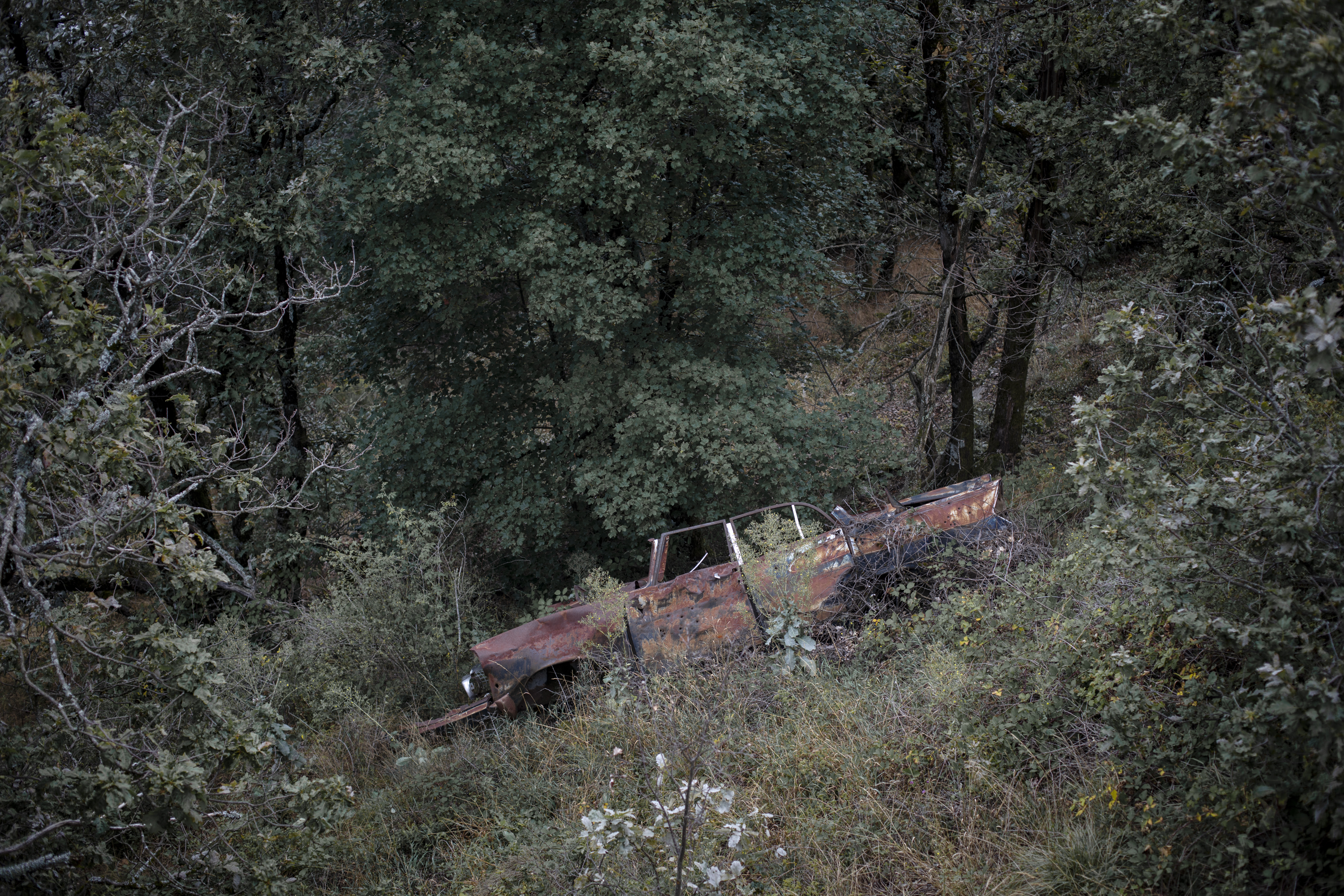 julien cregut-Lost Dogs-©juliencregut