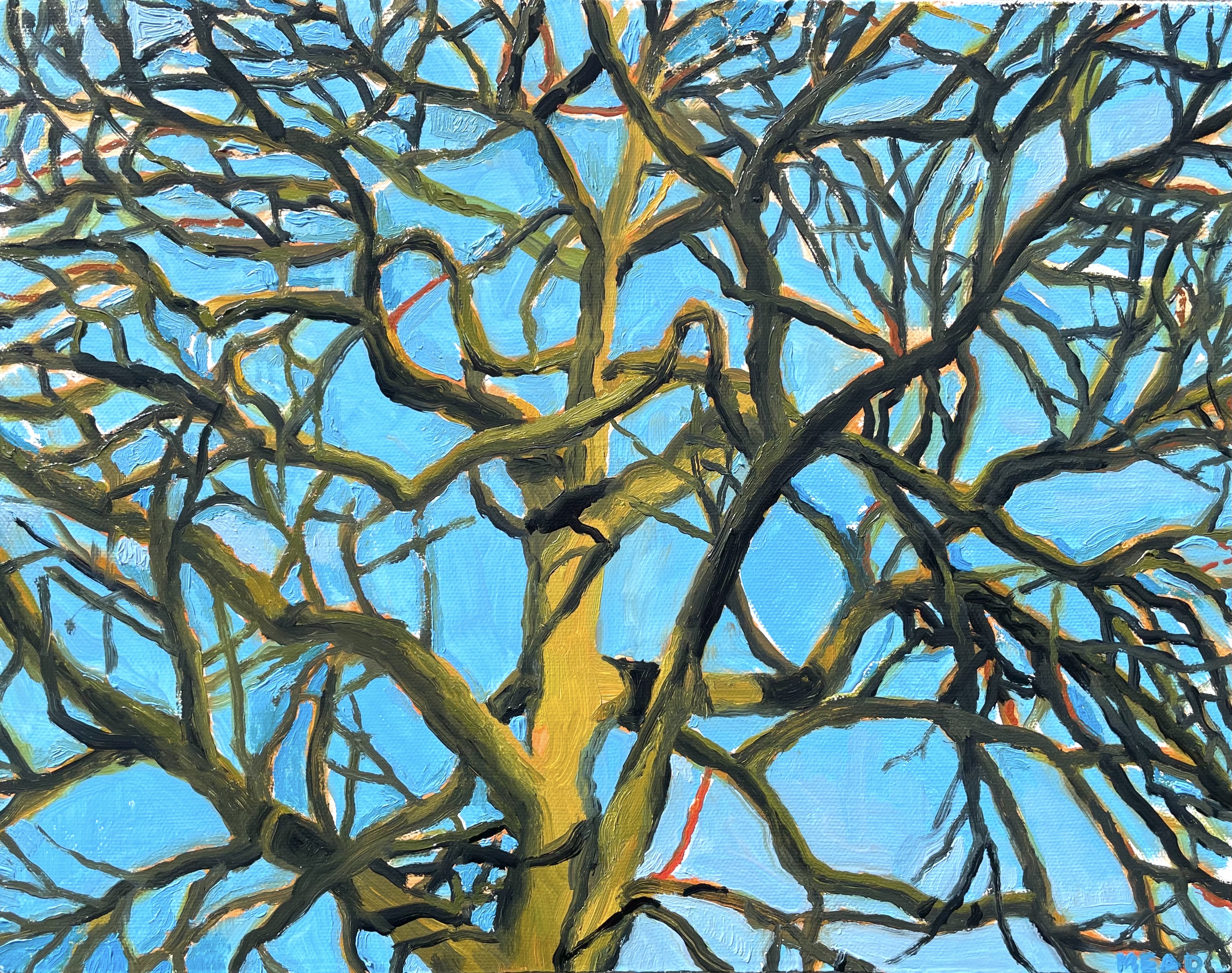 Tree in Fairmount Park, 7:00 pm. Oil on canvas, 14" x 11"