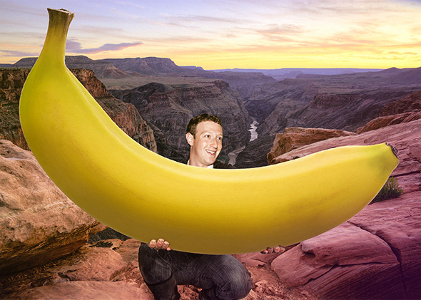 One Weird Trick to Stop Facebook Hoaxes