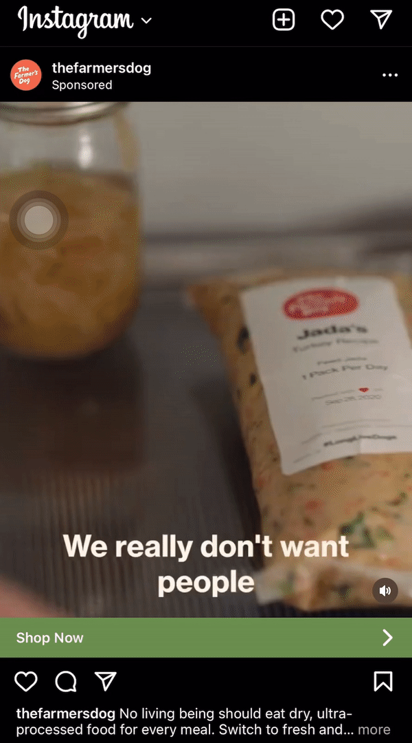 The Farmers Dog - Editor