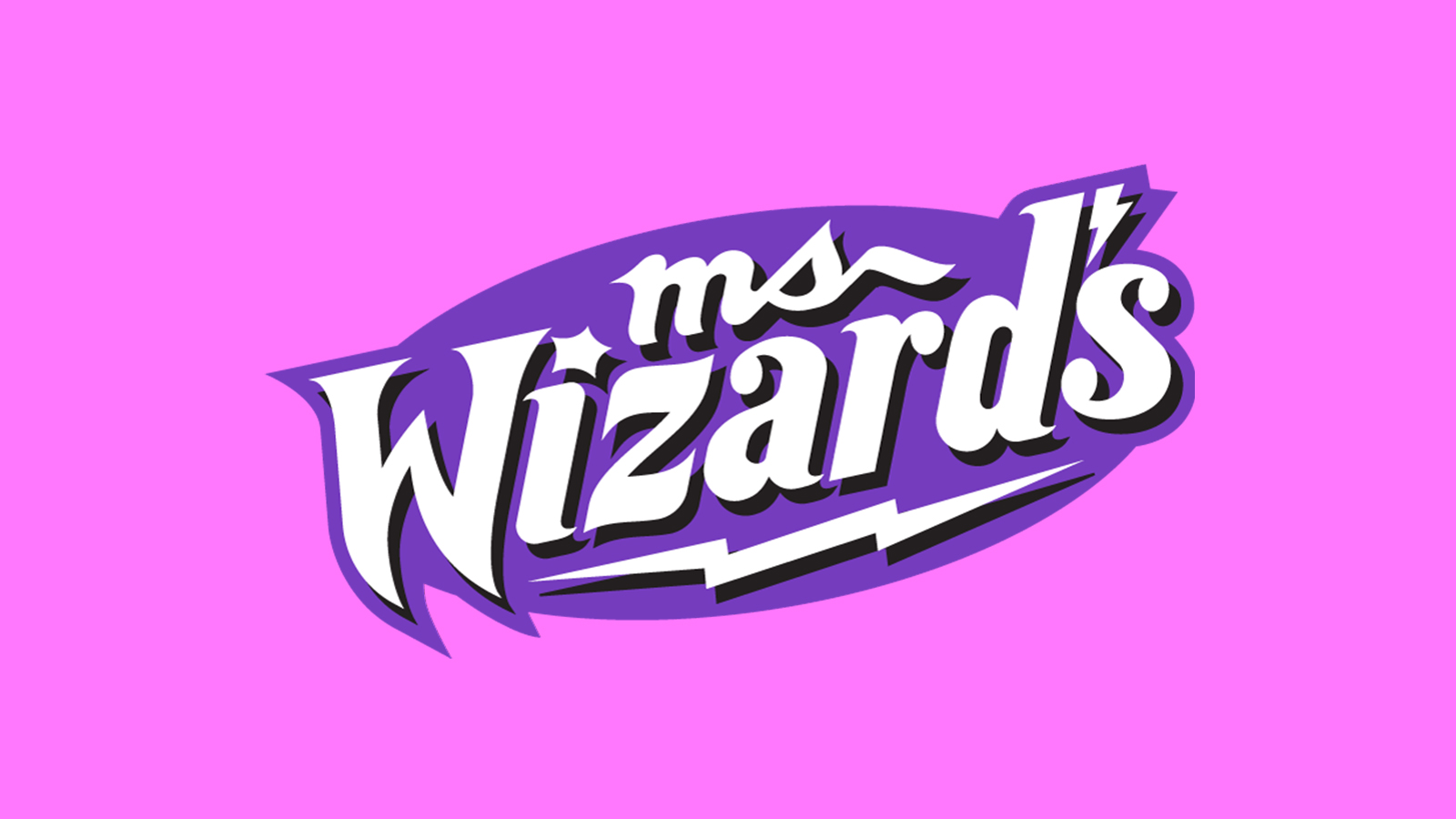 Ms Wizard's Spray Cleaner