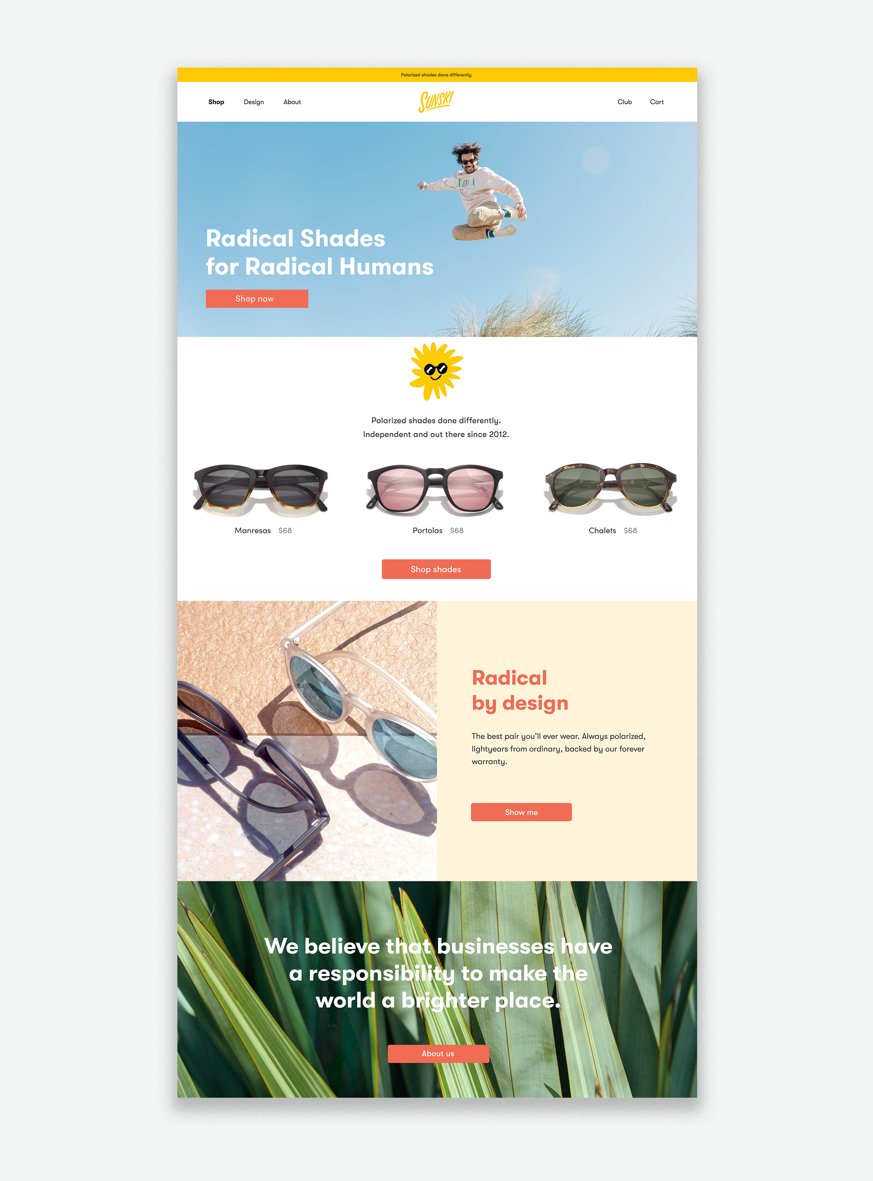 Polarized Sunglasses – Creative Group