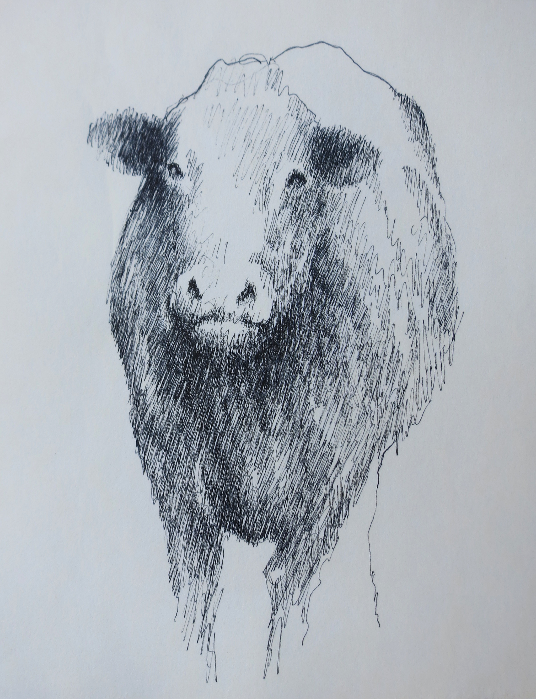  Ink on paper &ndash; 11&rdquo; x 8&rdquo; 