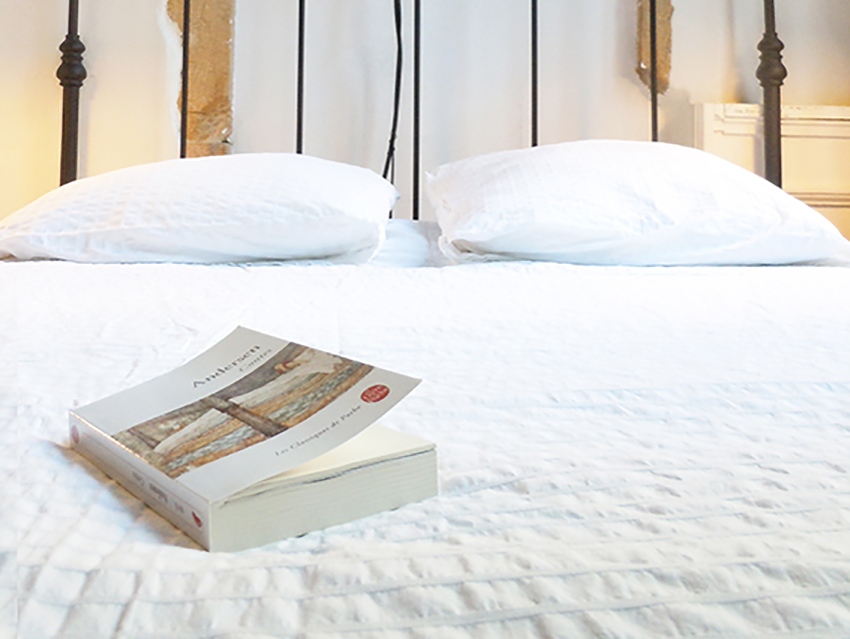 Petit-poids, 2011, site specific installation, pea, resin, book