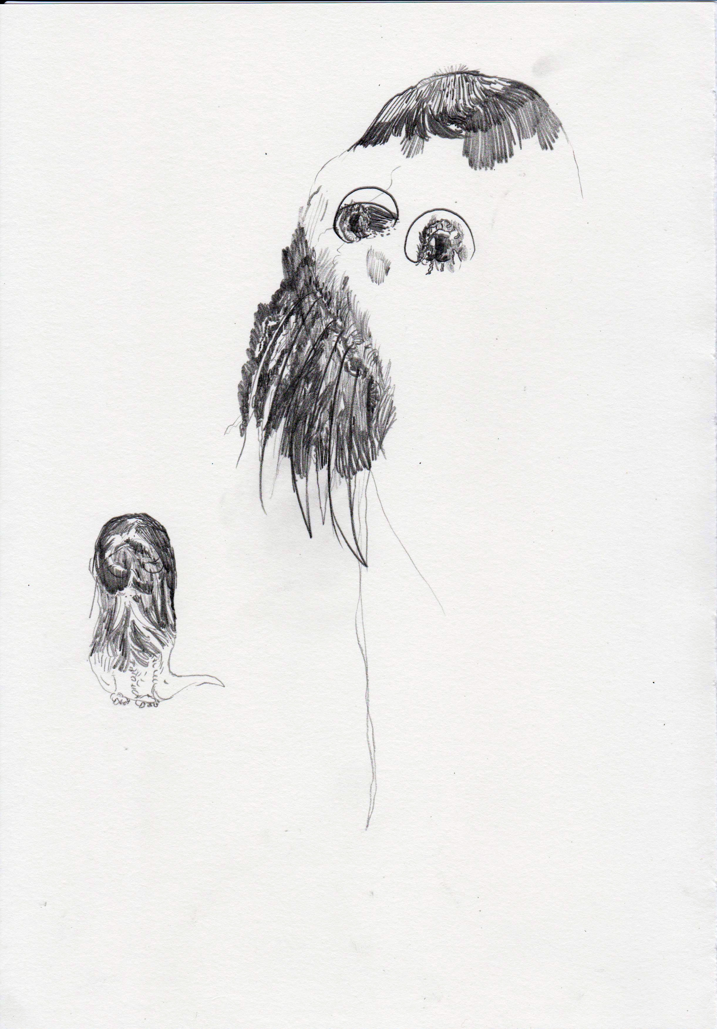 "Untitled", 2017. Pencil on paper, 29,7 x 21 cm