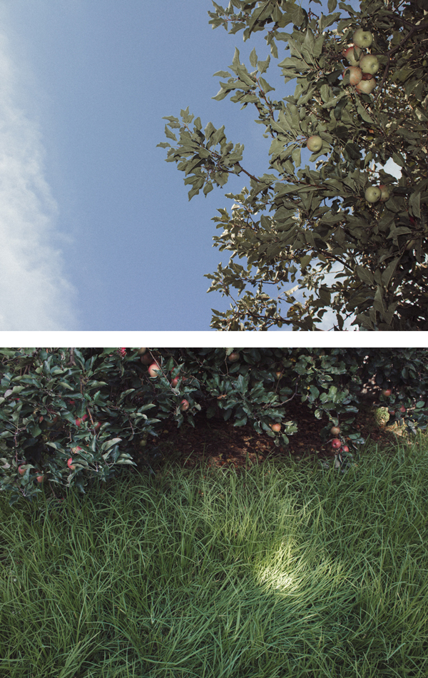 Liviano como una pluma, 2018