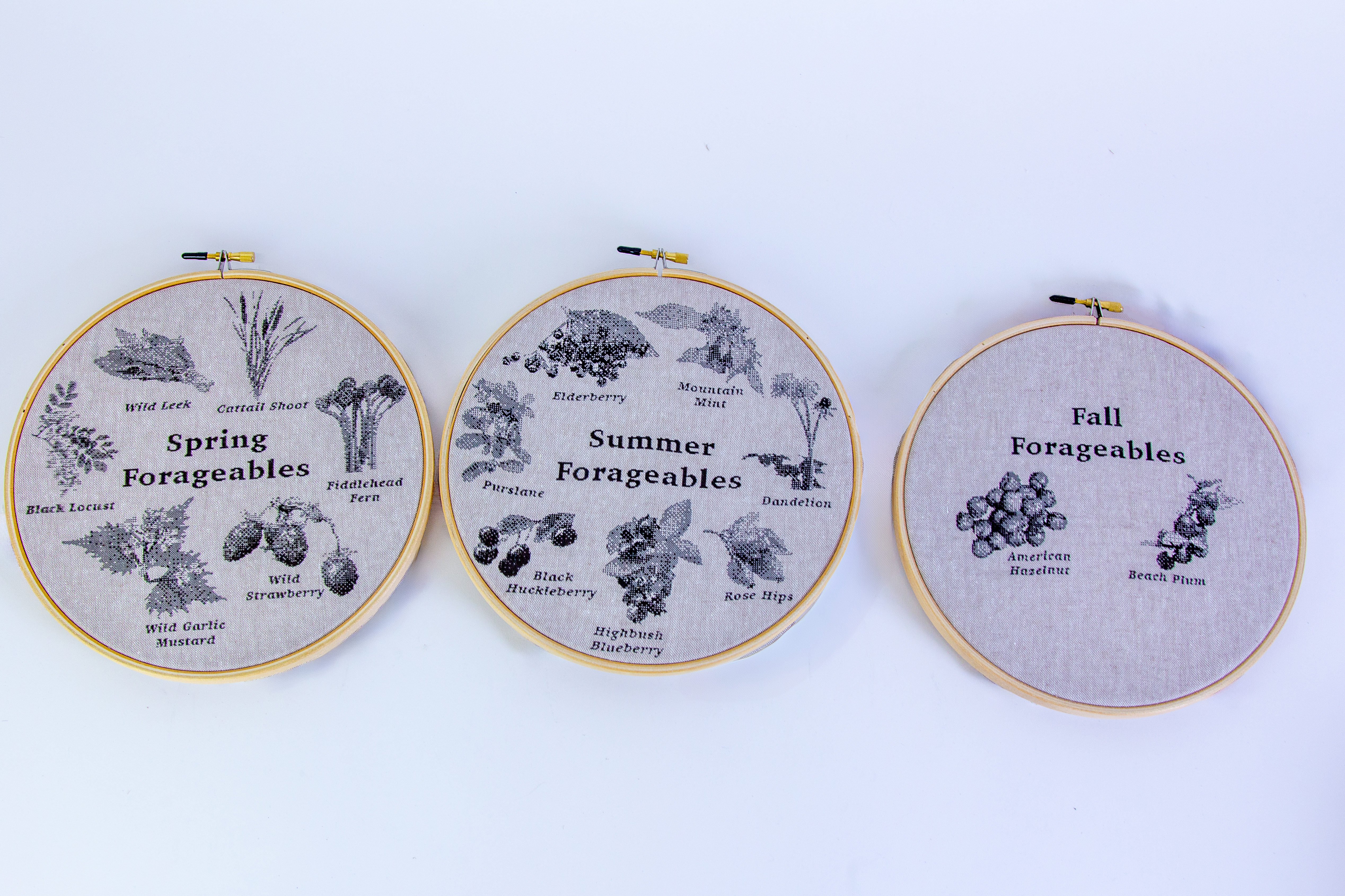 Foraging Taxonomy; Fabric print, Embroidery Hoops; 3x 8in x 8in; 2025