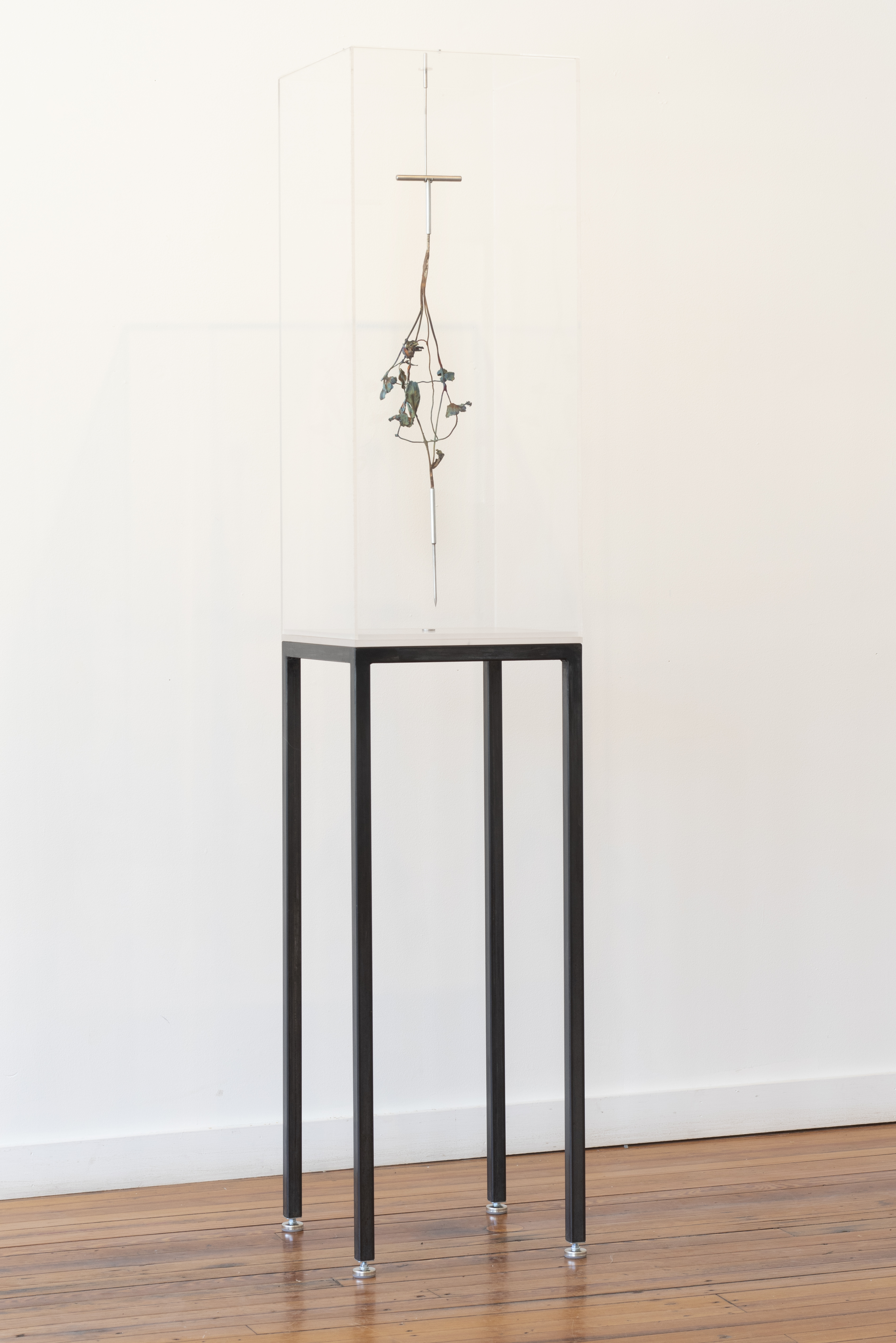 Bone Awl Electrode, 2022