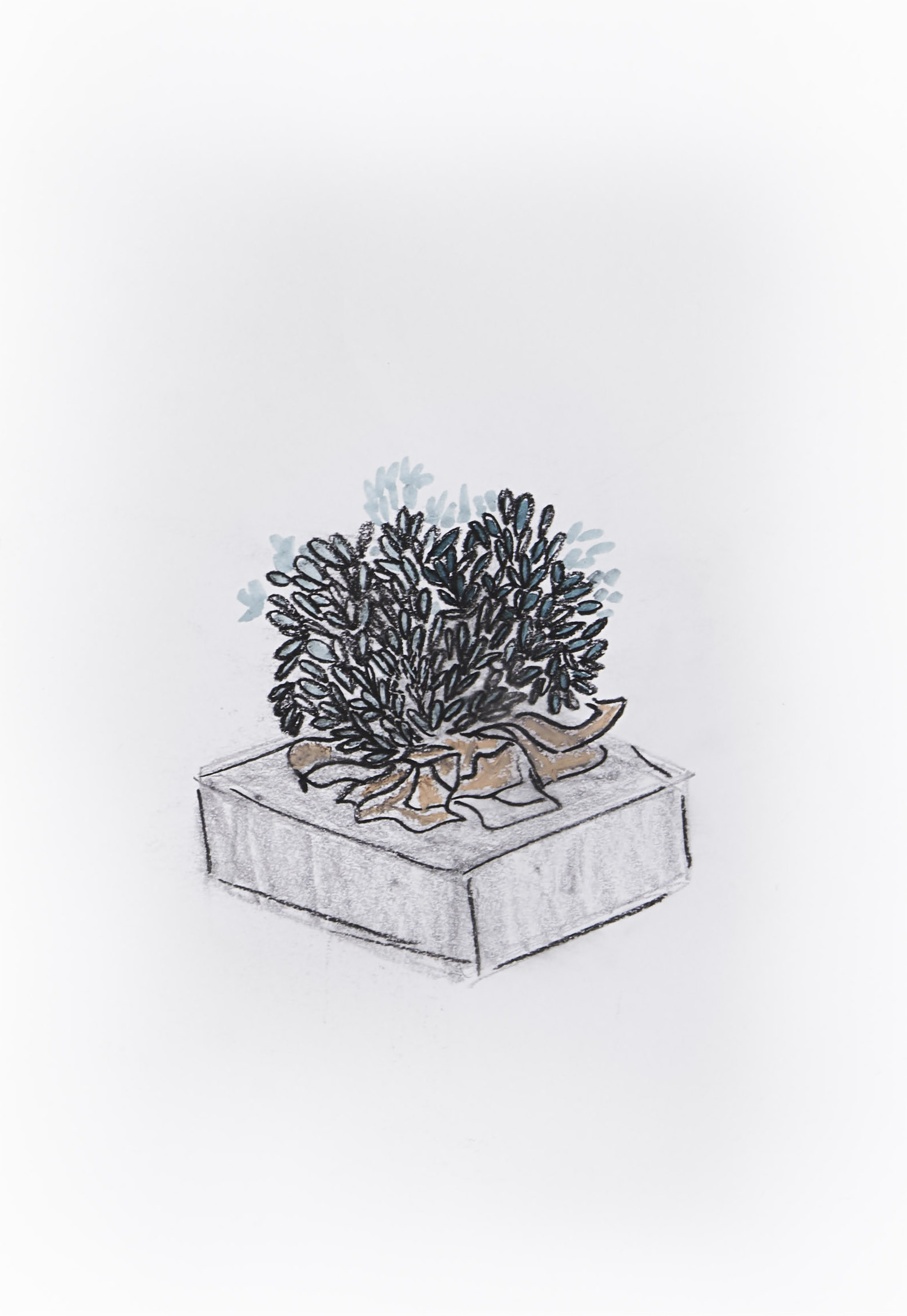 Box of Tremendous Size I - Pencil and Crayon on Paper 21 x 29,7 cm