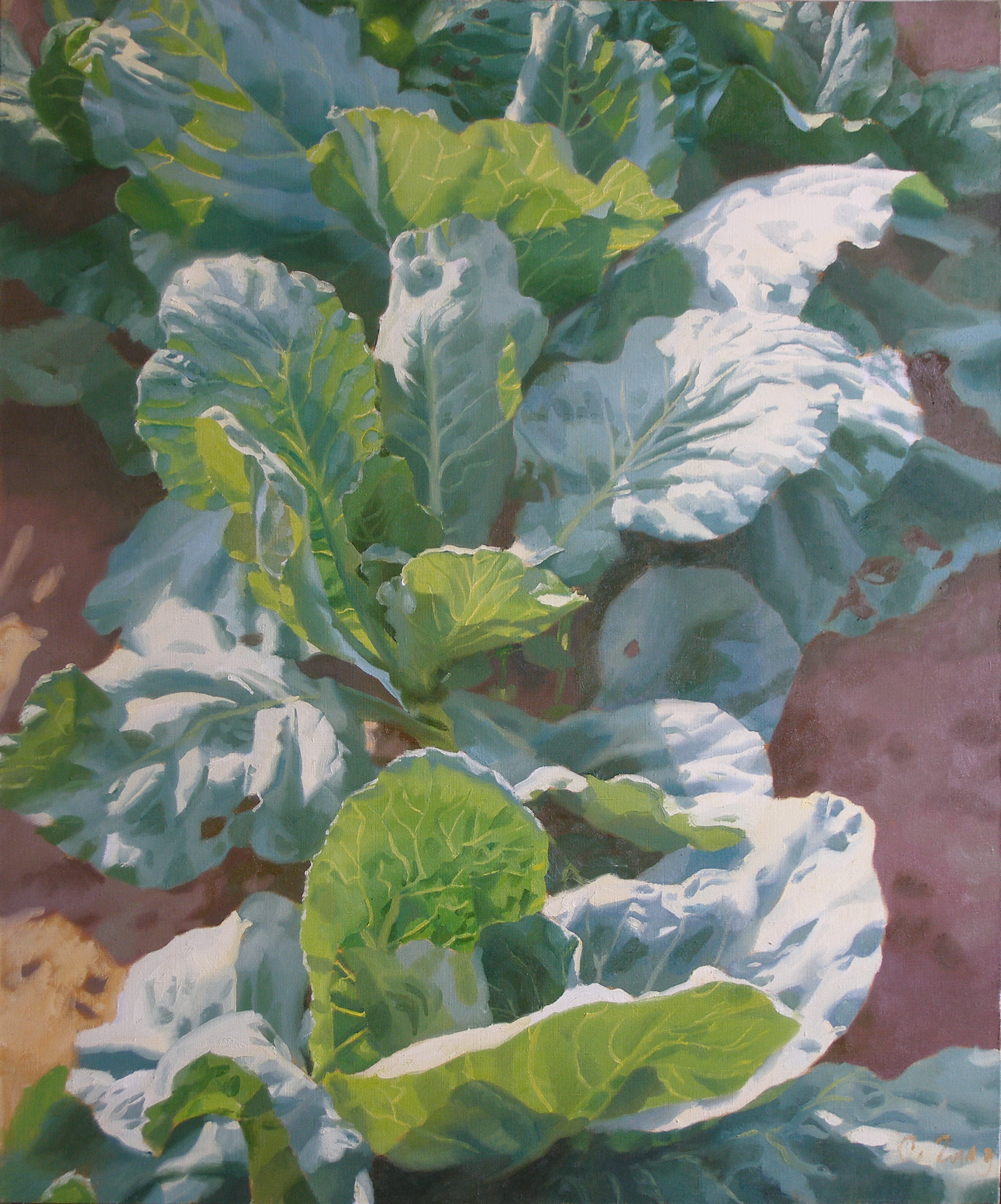 "Cabbage", 2010, oil on canvas, 120 × 100 cm