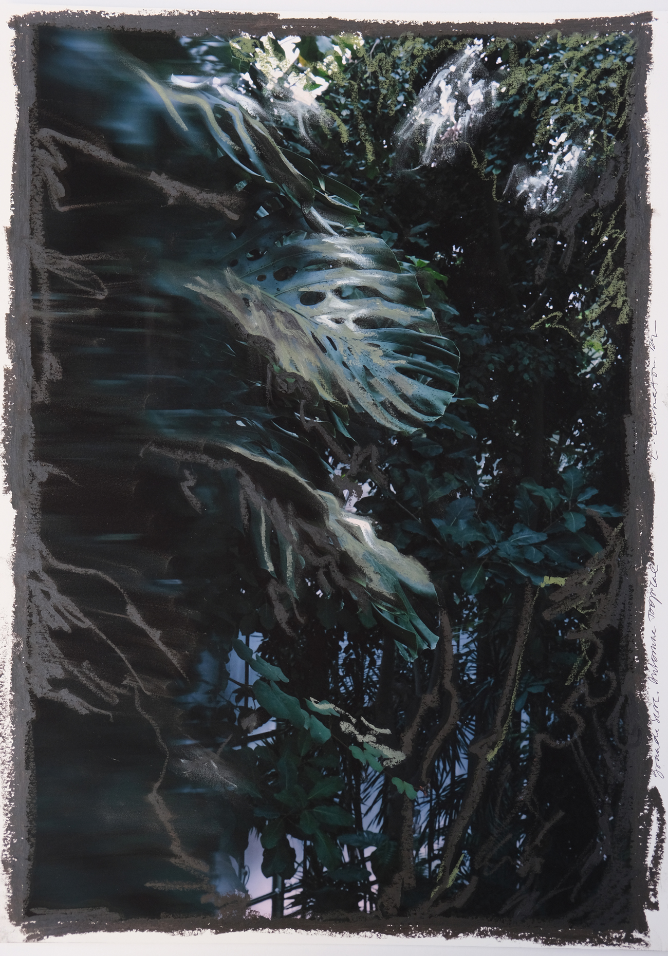 42 x 30 cm