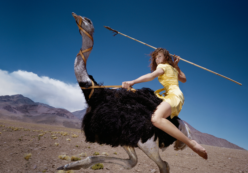 Сильная добрая смелая. Девушка на страусе. Верхом на страусе. Смелая женщина. Женщина верхом на страусе.