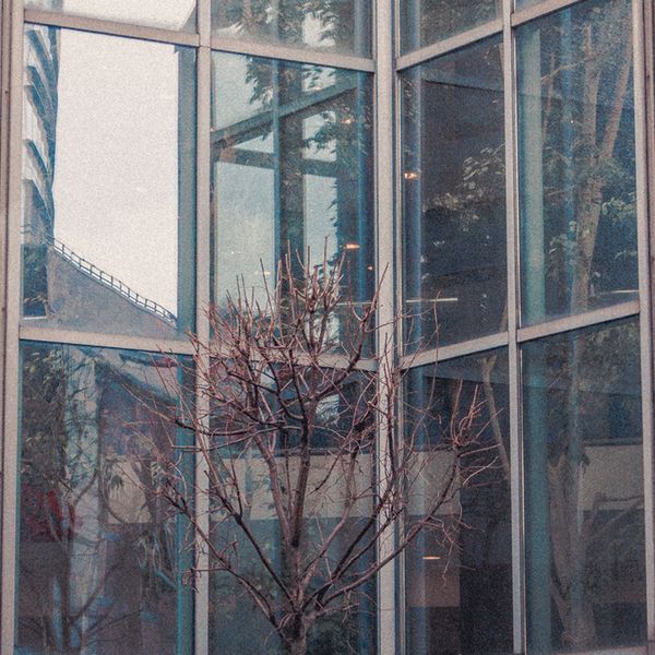 transience #41 with Lou Drago and Yann Novak