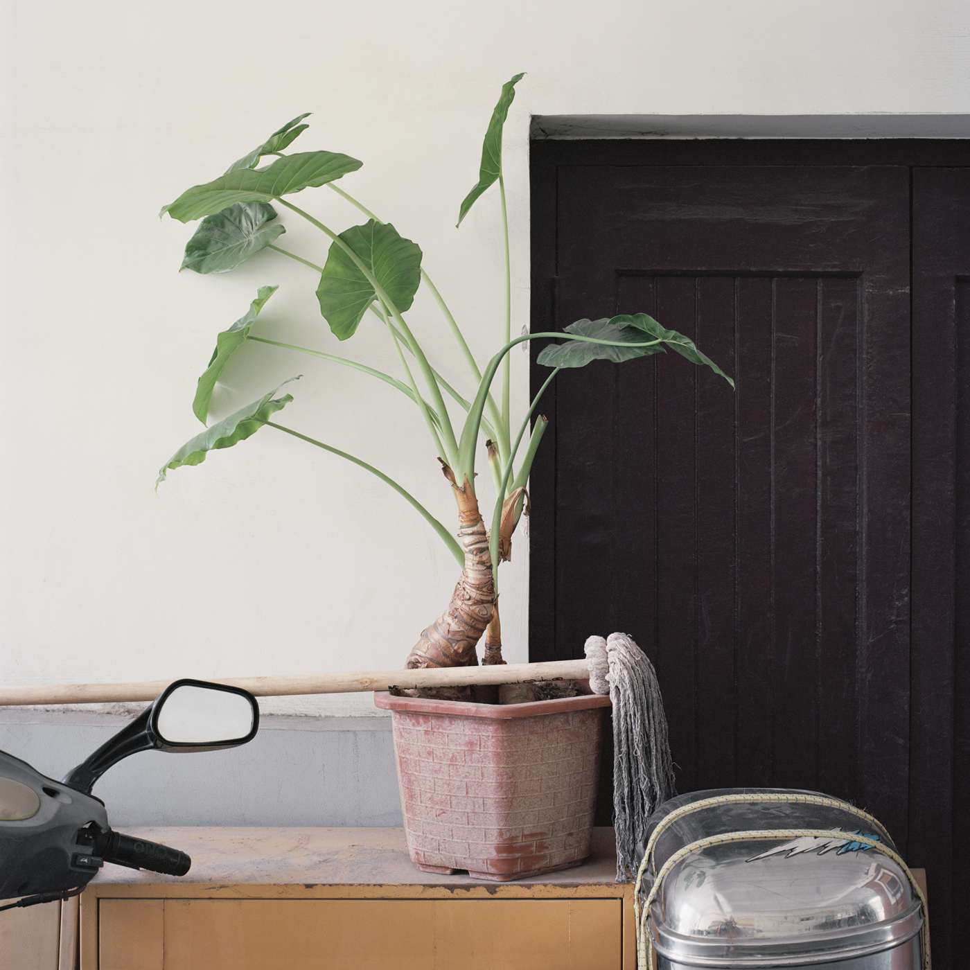 Shanghai Longtang I, 2014