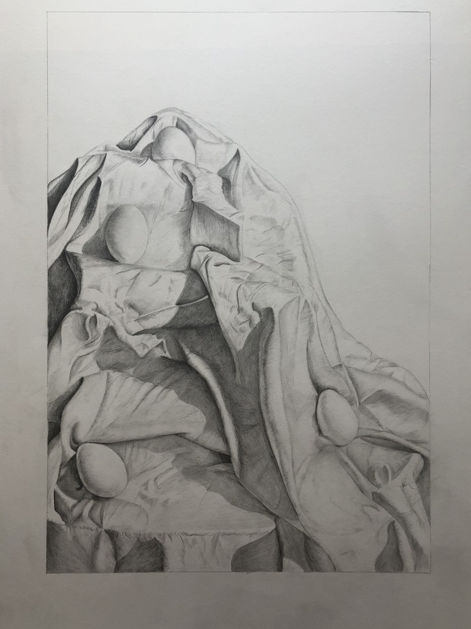 Emily Daw, Eggs, General Art Scholarship $200,19 inx17 in, pencil
