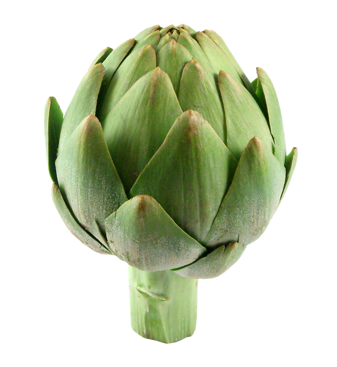 the Artichoke - CMU