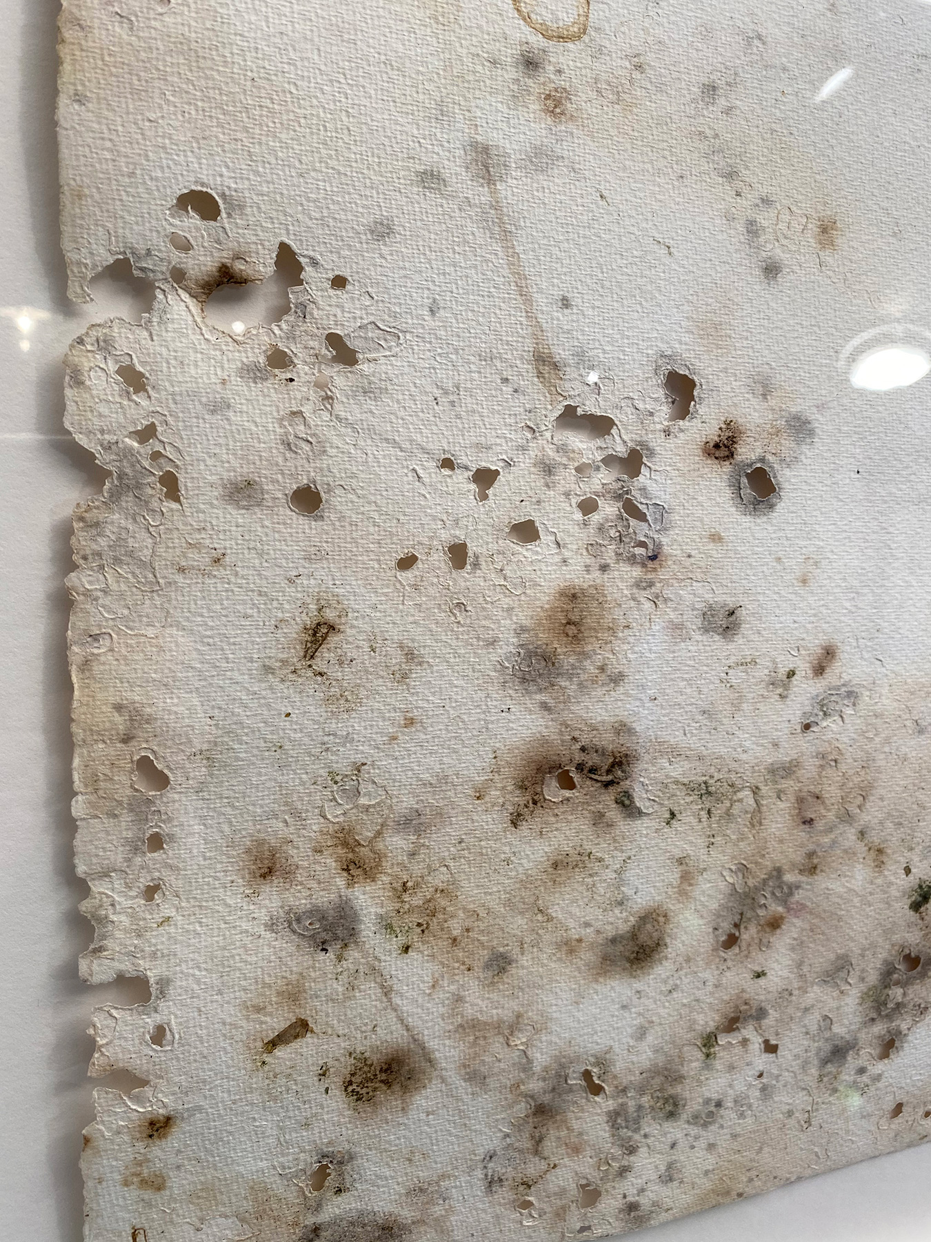 Companion Pieces / Detail / 2021