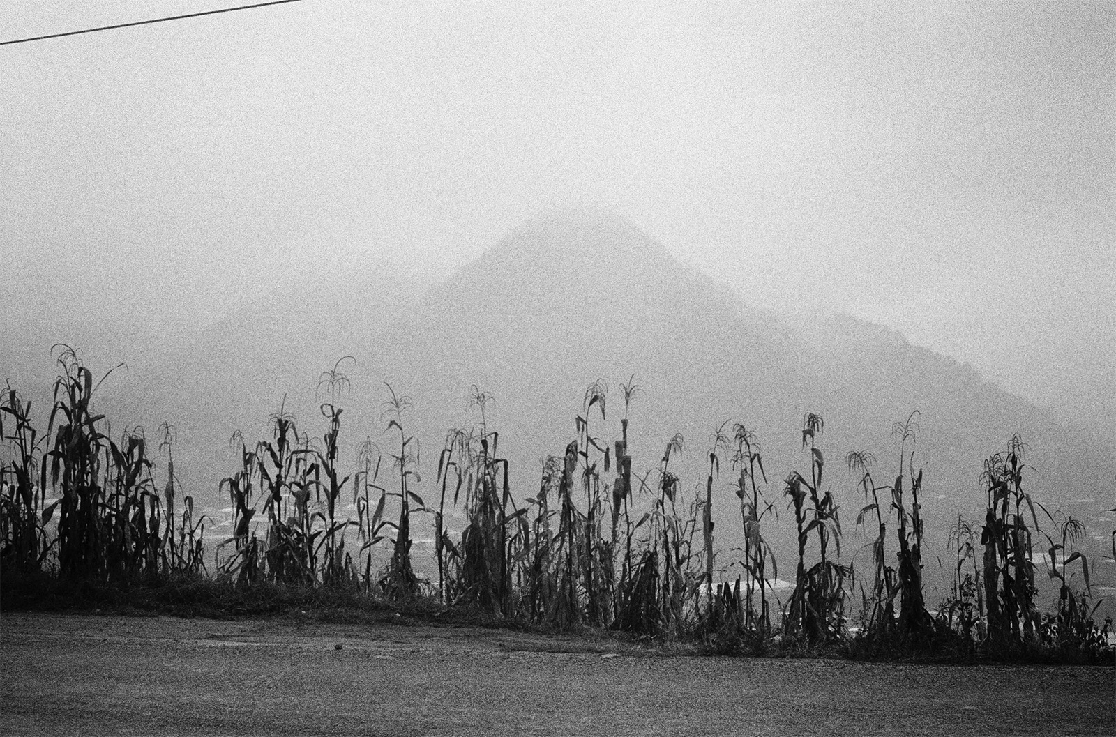 © Jorge Rosano Gamboa La milpa y el monte, San Juan Chamula, Zinacantan
