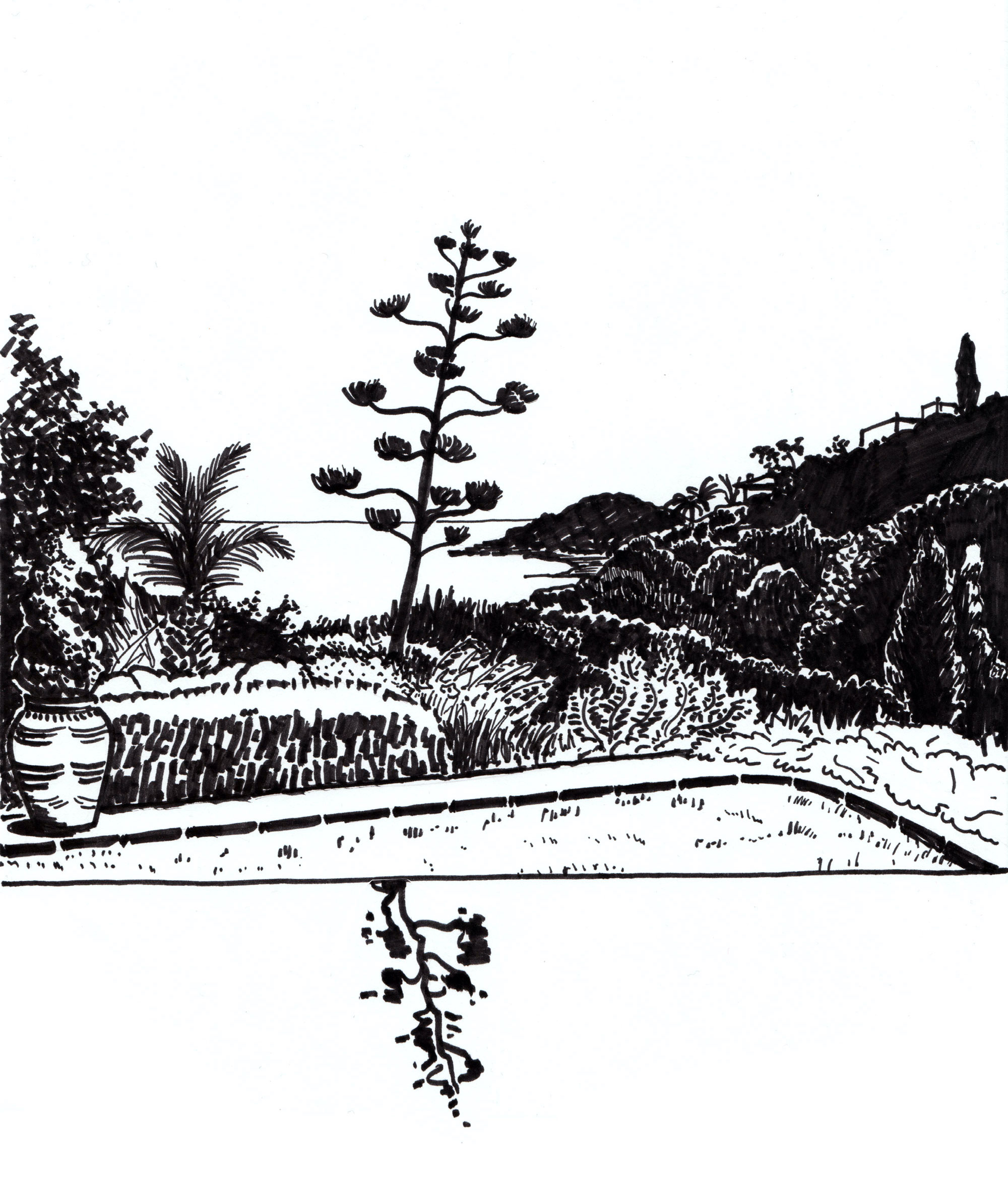 Arbre Photogénique - Ink on paper 21x30 cm