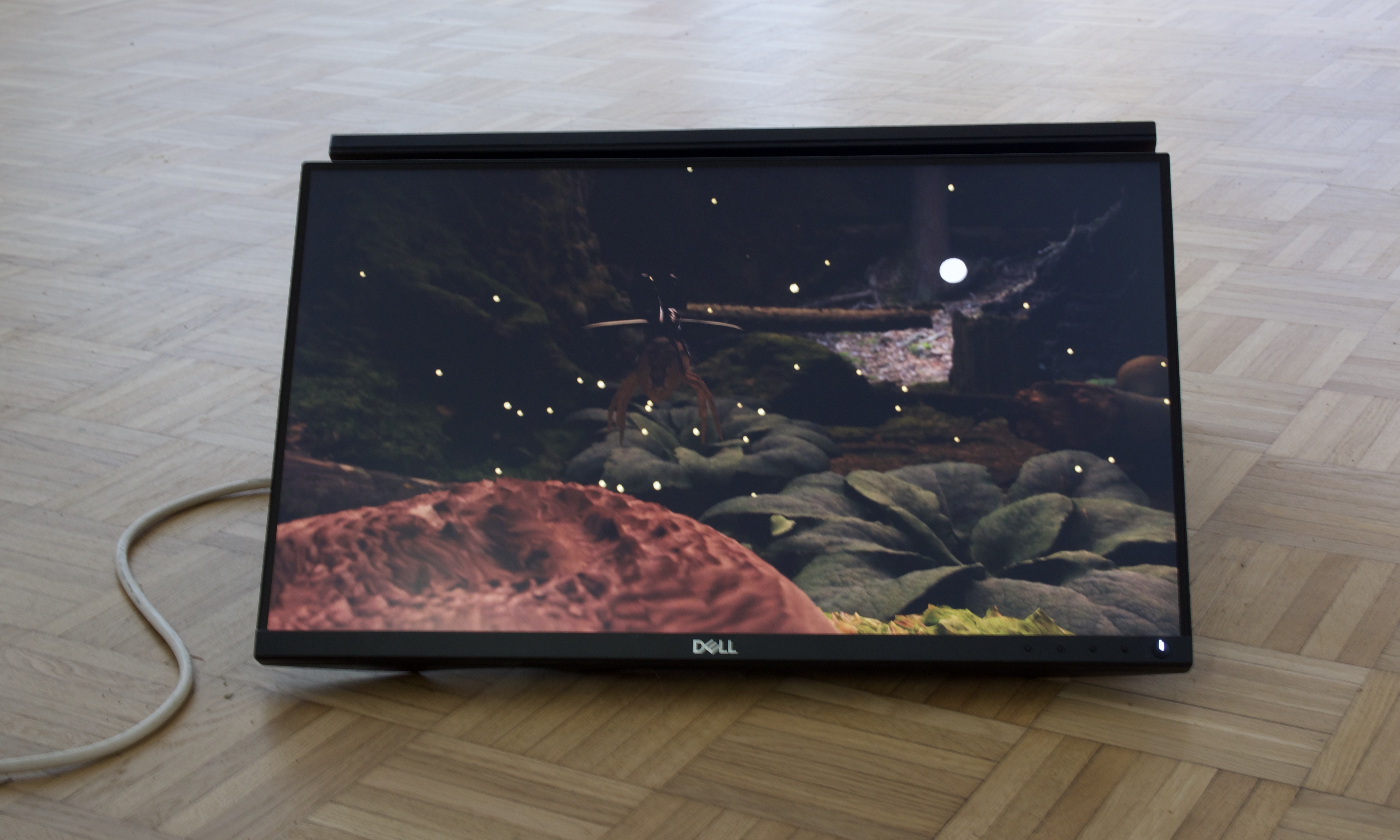 Tomas Sjögren, A Bug’s Afterlife, 2019