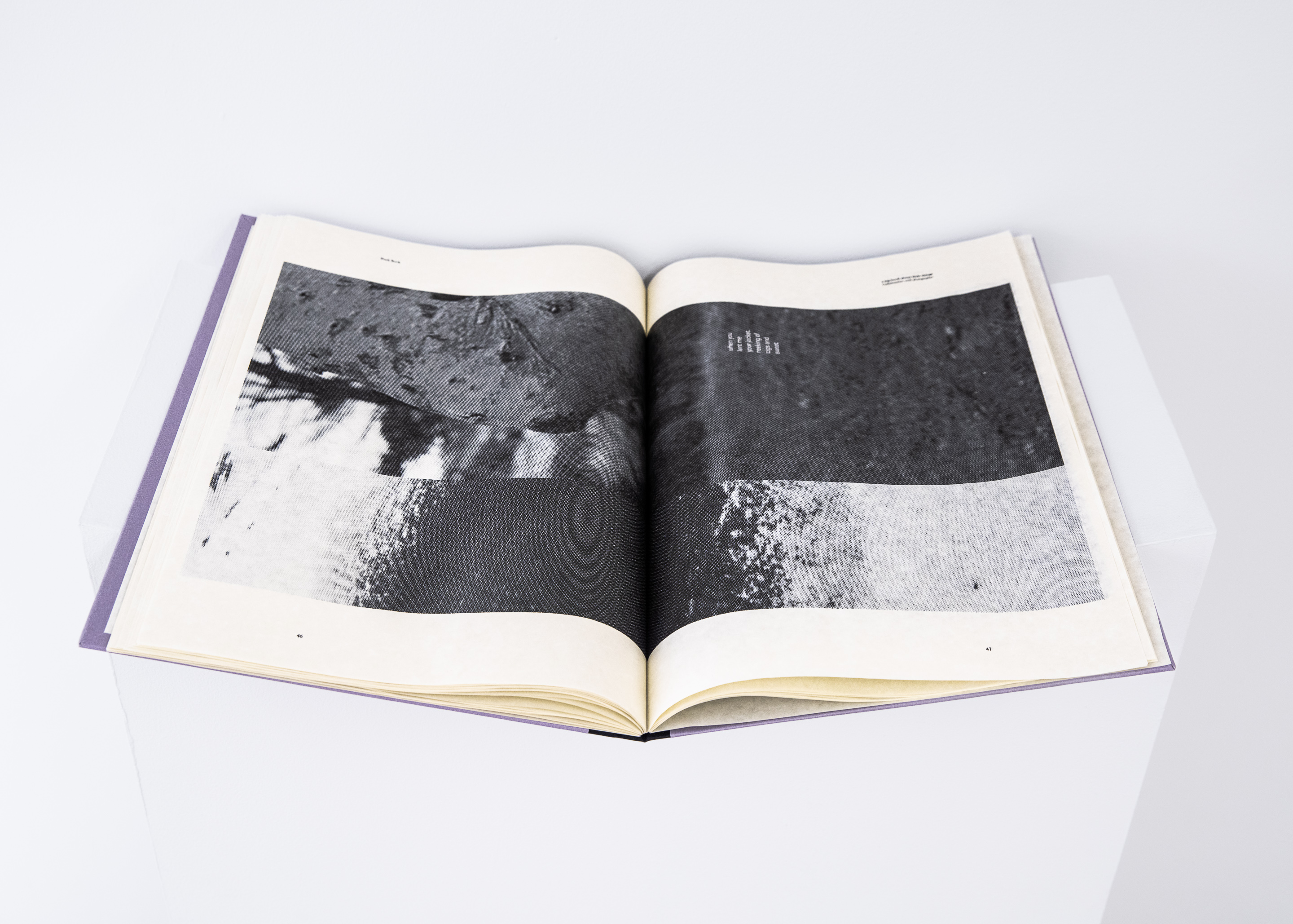 Book BookHardcover, French link binding, inkjet printed, 2023Photo by Joel Tsui